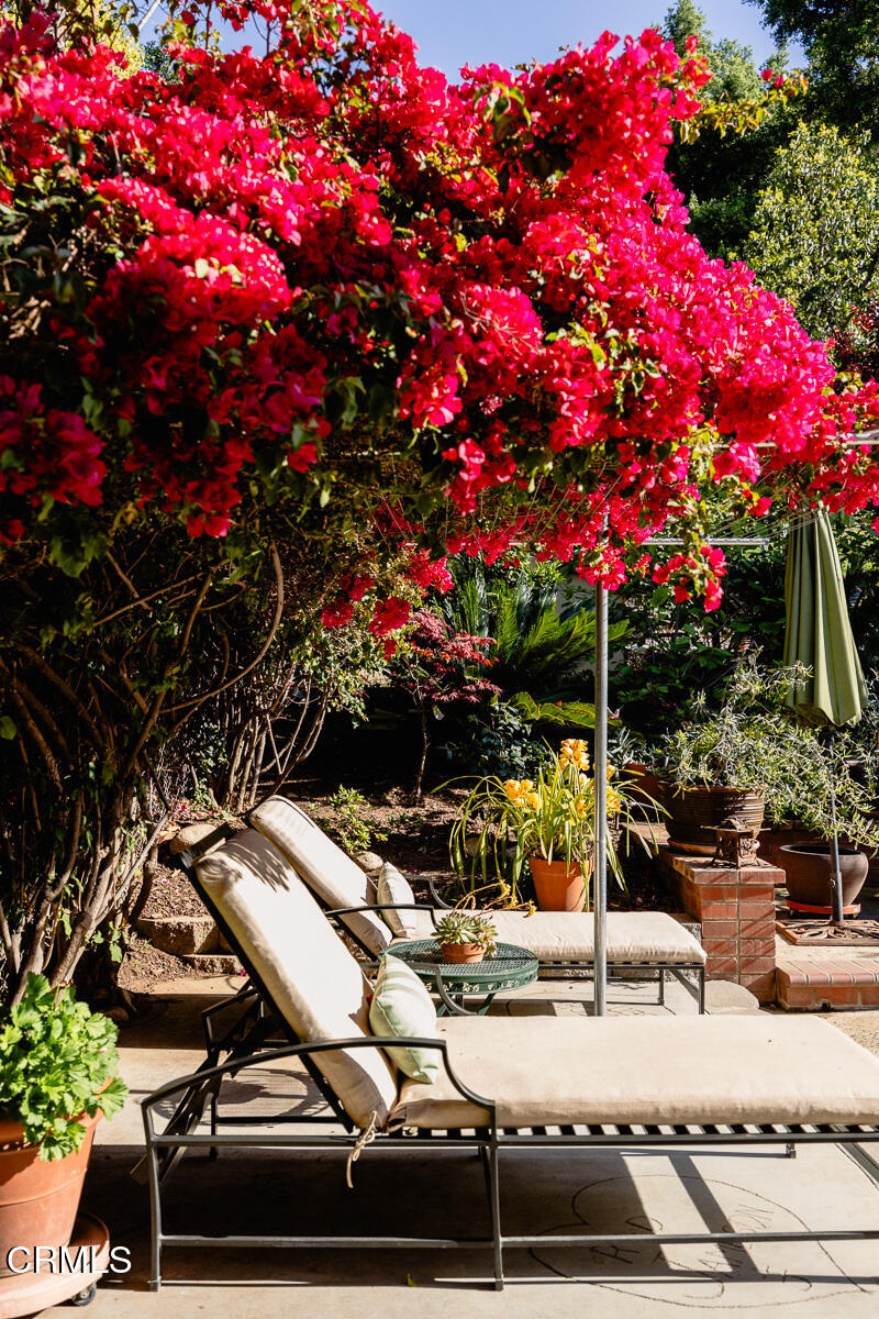 201 Monterey Road South Pasadena, CA 91030 - Photo 43 of 60 a backyard of a house with lots of green space and fountain