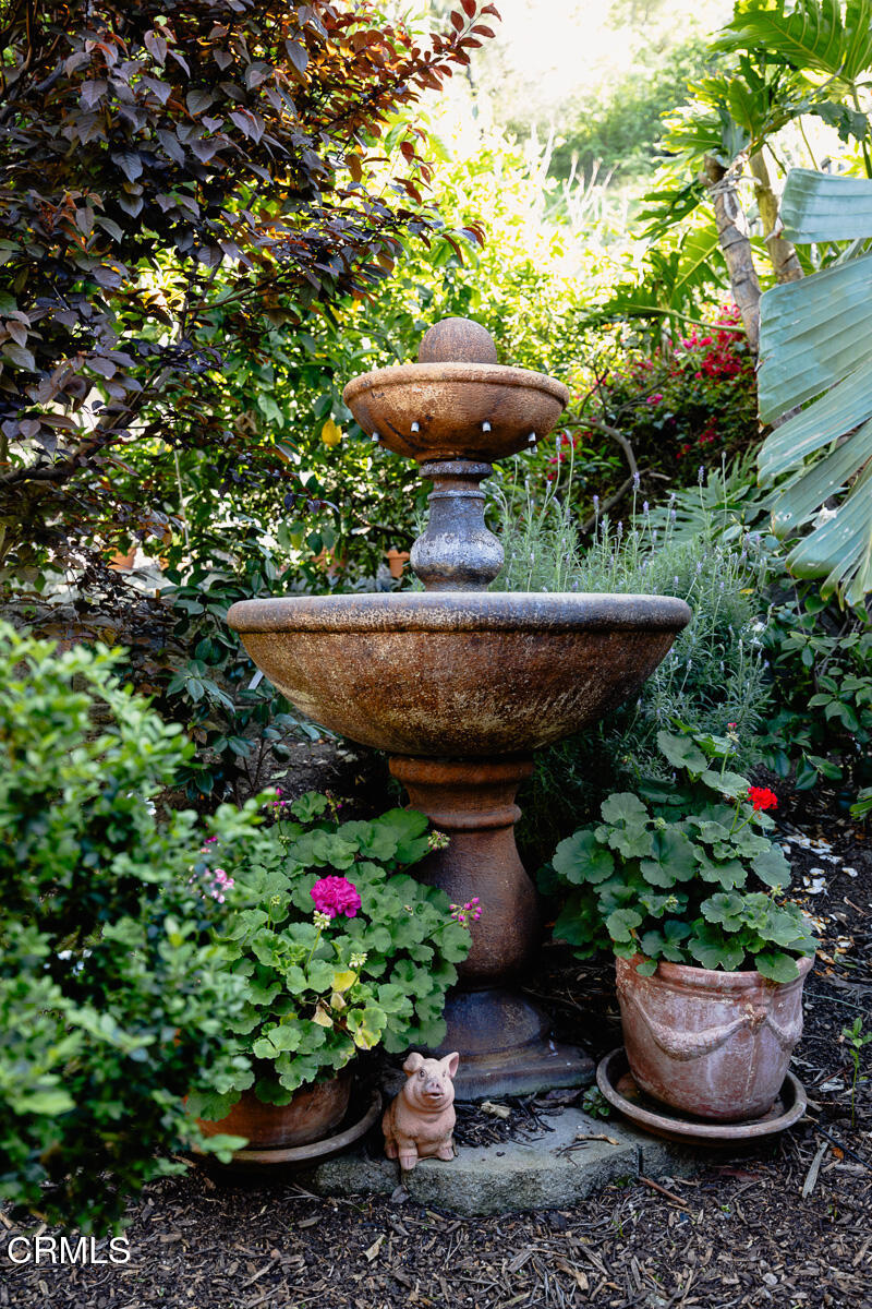 201 Monterey Road South Pasadena, CA 91030 - Photo 45 of 60 a view of a backyard with plants and a patio
