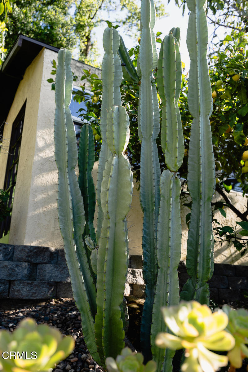 201 Monterey Road South Pasadena, CA 91030 - Photo 47 of 60 a view of a house with a yard
