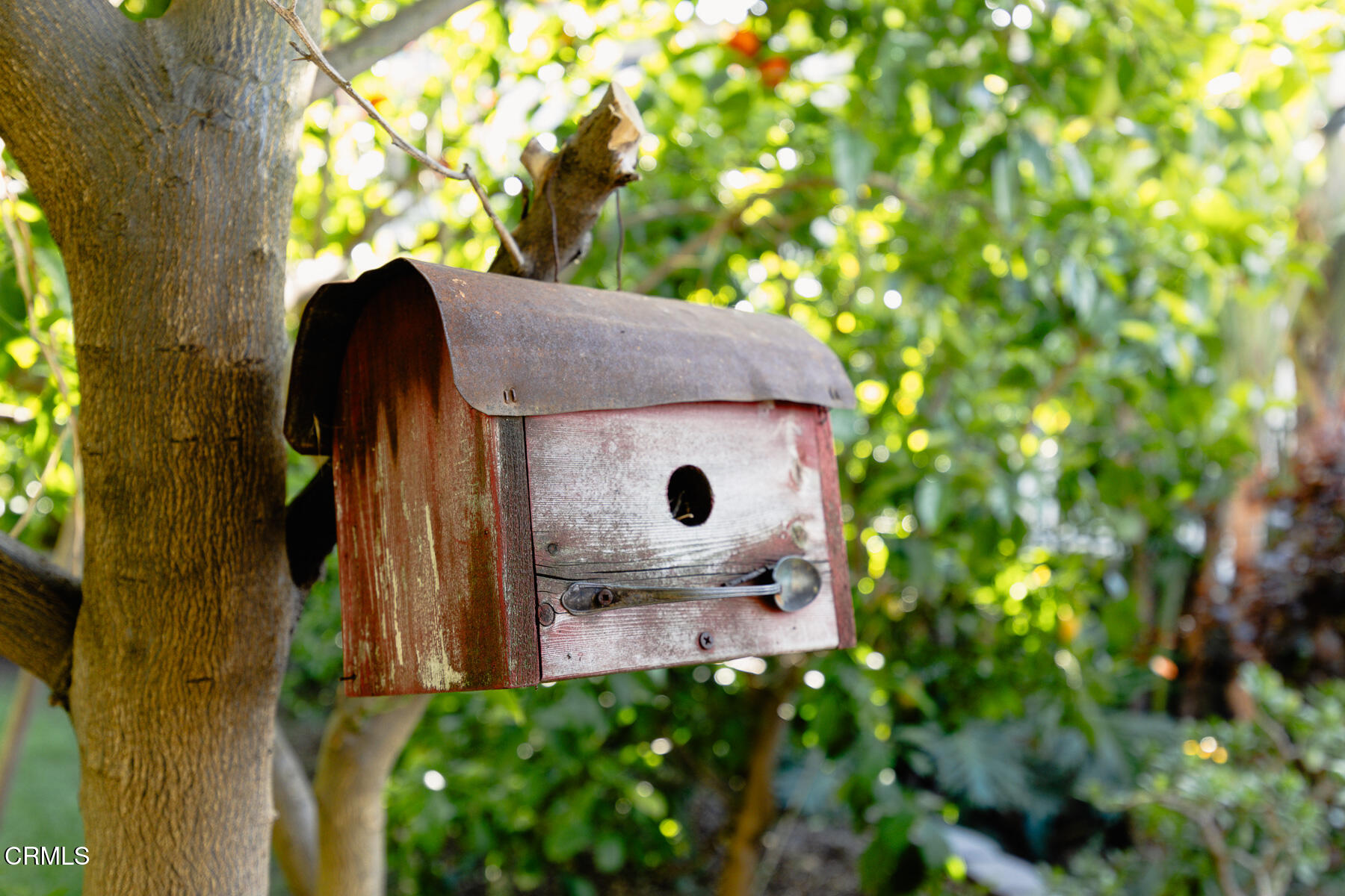 201 Monterey Road South Pasadena, CA 91030 - Photo 49 of 60 a view of a tree in a yard