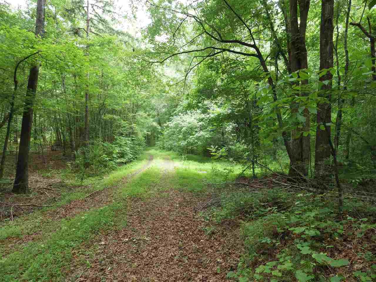 1370 River Road Decatur, TN 37322 - Photo 12 of 13 Gallery Image 12