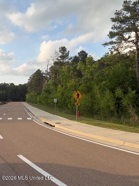 Airport Road Flowood, MS 39232 - Photo 7 of 8 Land Image