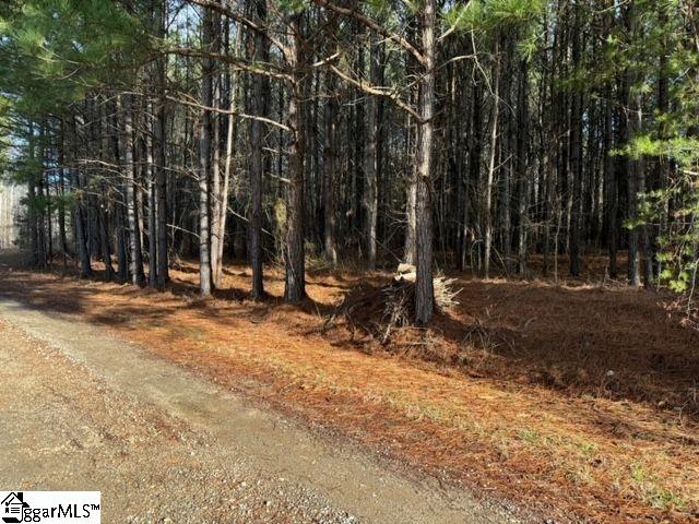 Looper Road Easley, SC 29640 - Photo 15 of 22