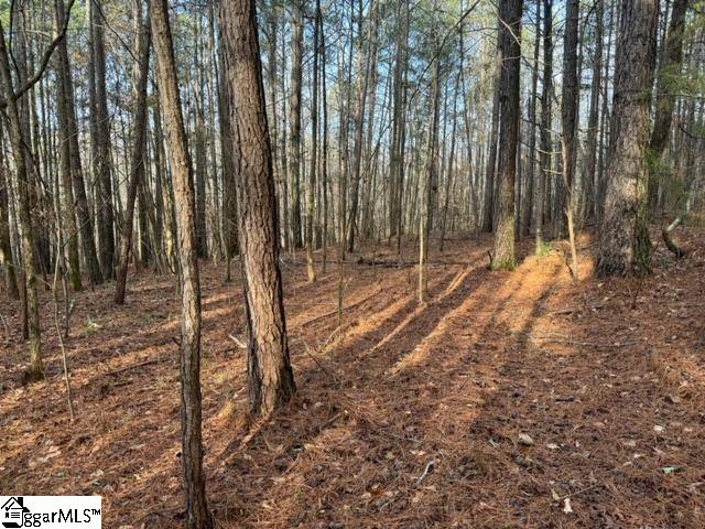 Looper Road Easley, SC 29640 - Photo 2 of 22