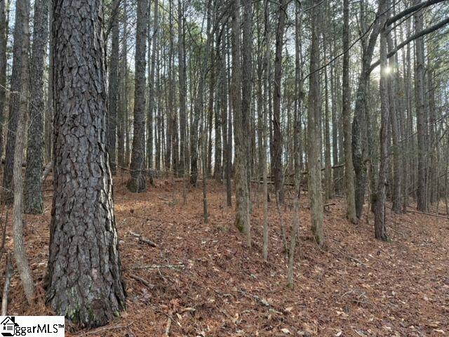 Looper Road Easley, SC 29640 - Photo 5 of 22