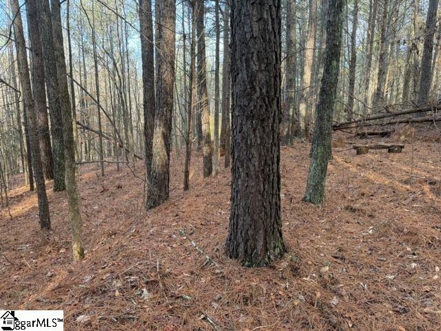 Looper Road Easley, SC 29640 - Photo 9 of 22