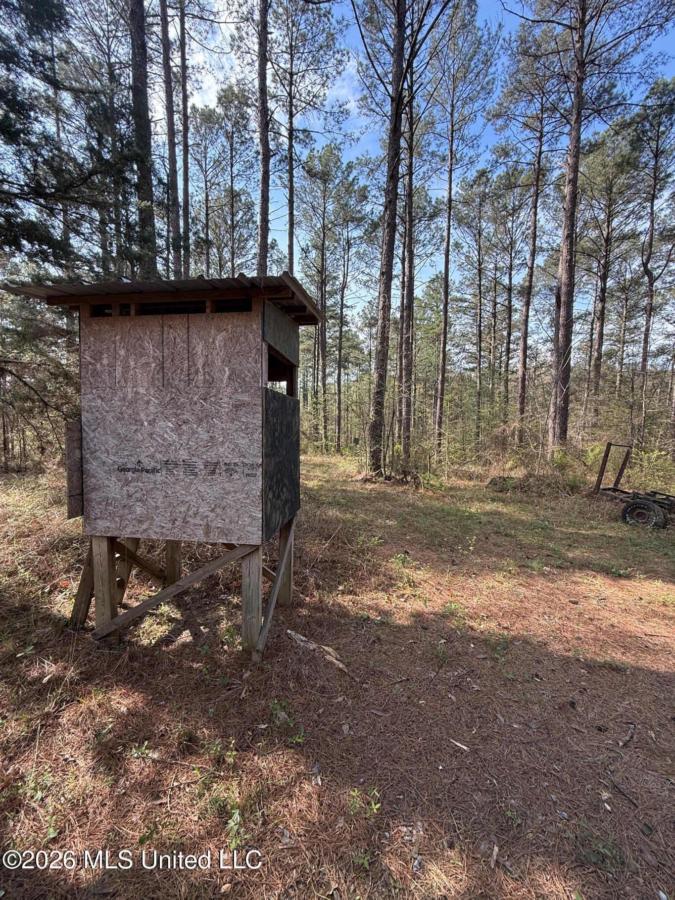 2893 Truesdale Road Carthage, MS 39051 - Photo 13 of 23 Leake 33-26