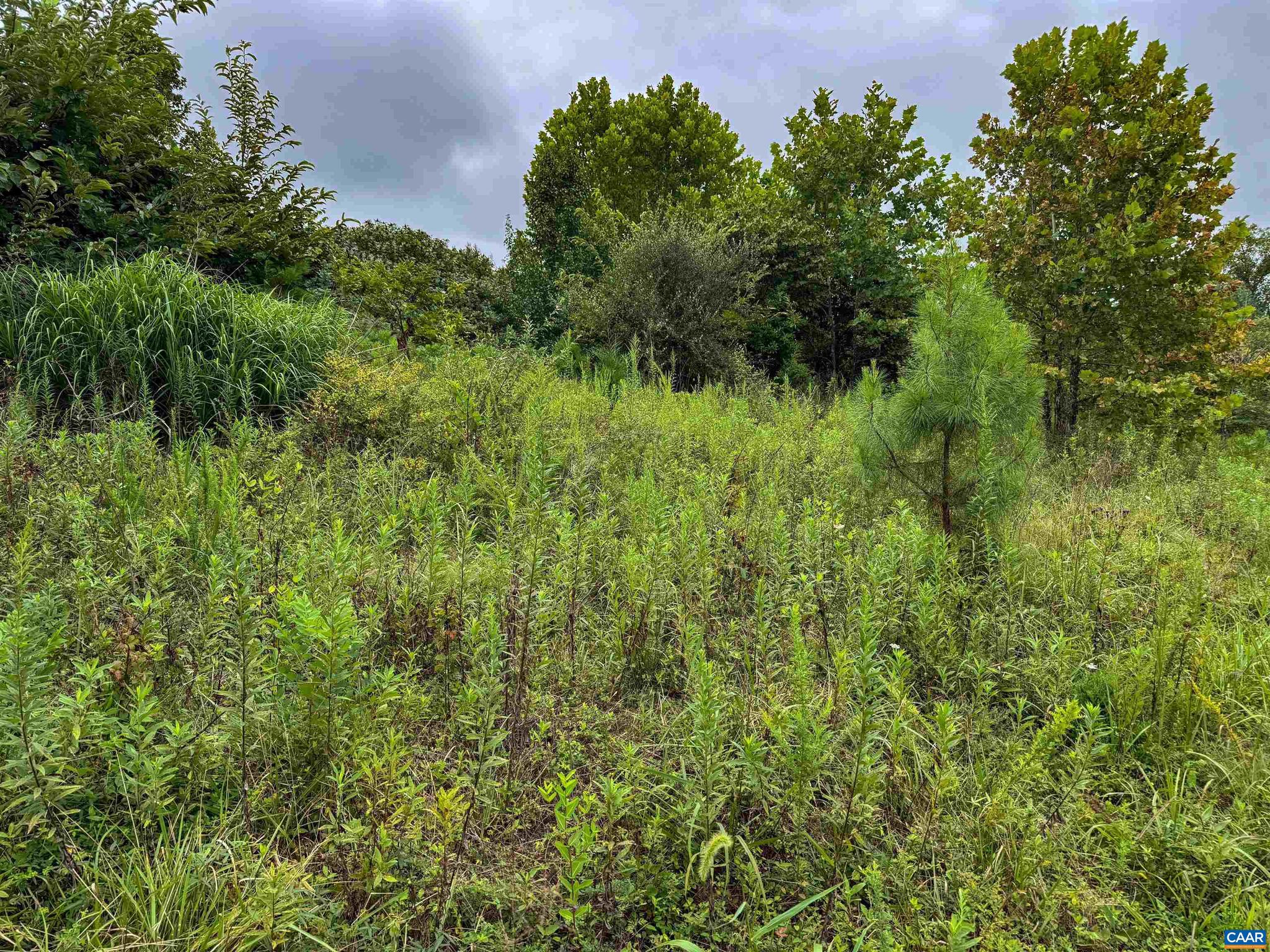 Tba Old Green Mountain Road, Unit 500 Esmont, VA 22937 - Photo 30 of 33