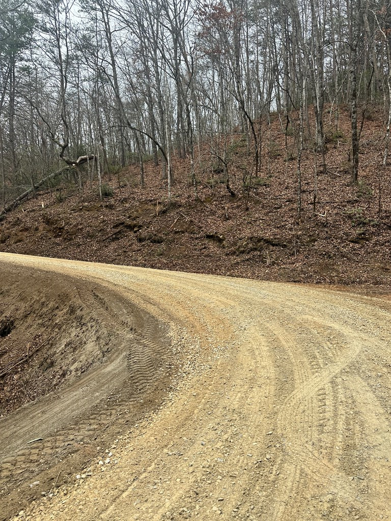 0 Tatham Gap Road Andrews, NC 28901 - Photo 4 of 7