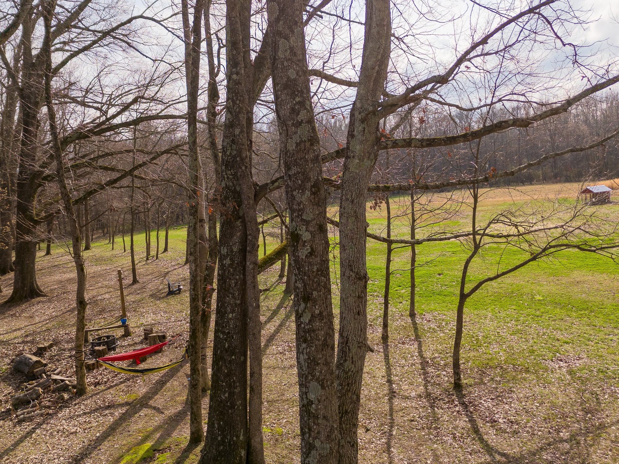 64 Elliot Road Ardmore, TN 38449 - Photo 20 of 72