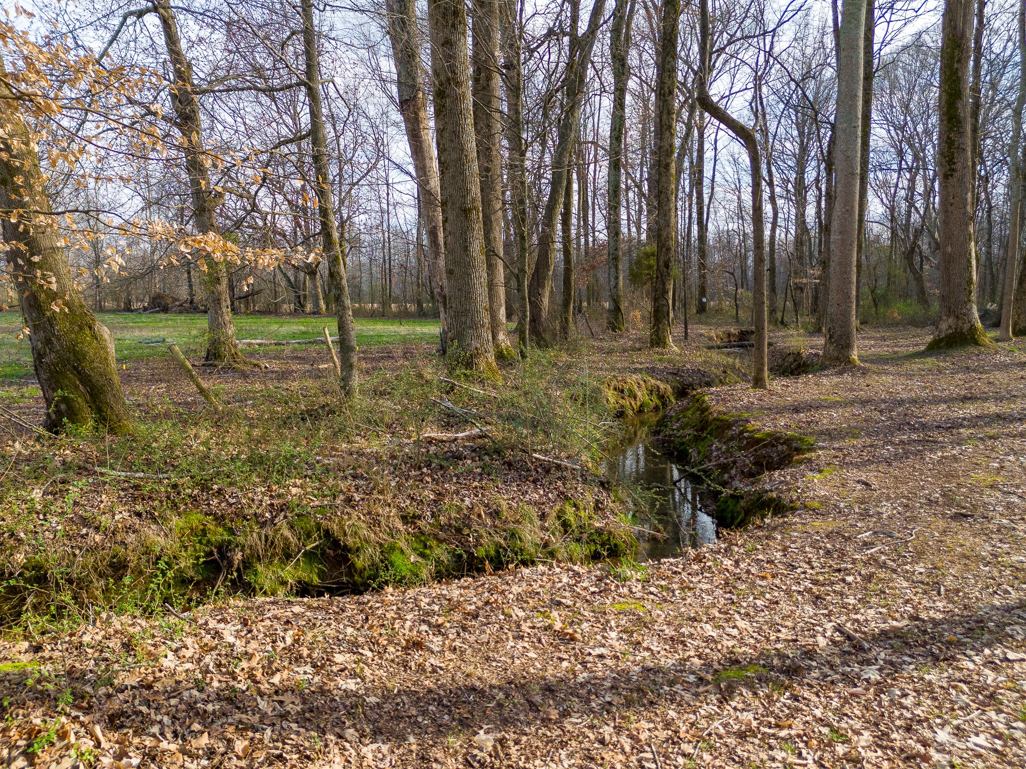 64 Elliot Road Ardmore, TN 38449 - Photo 20 of 64