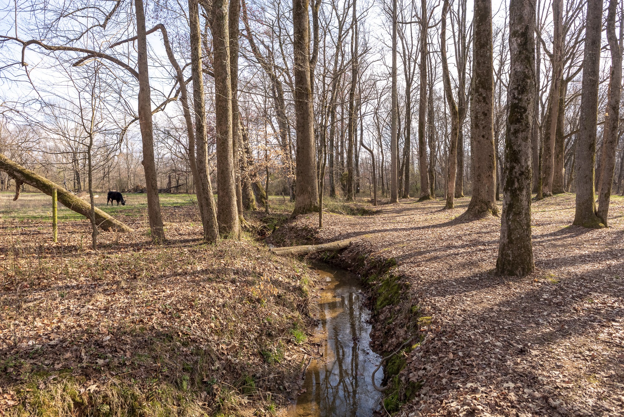 64 Elliot Road Ardmore, TN 38449 - Photo 22 of 64