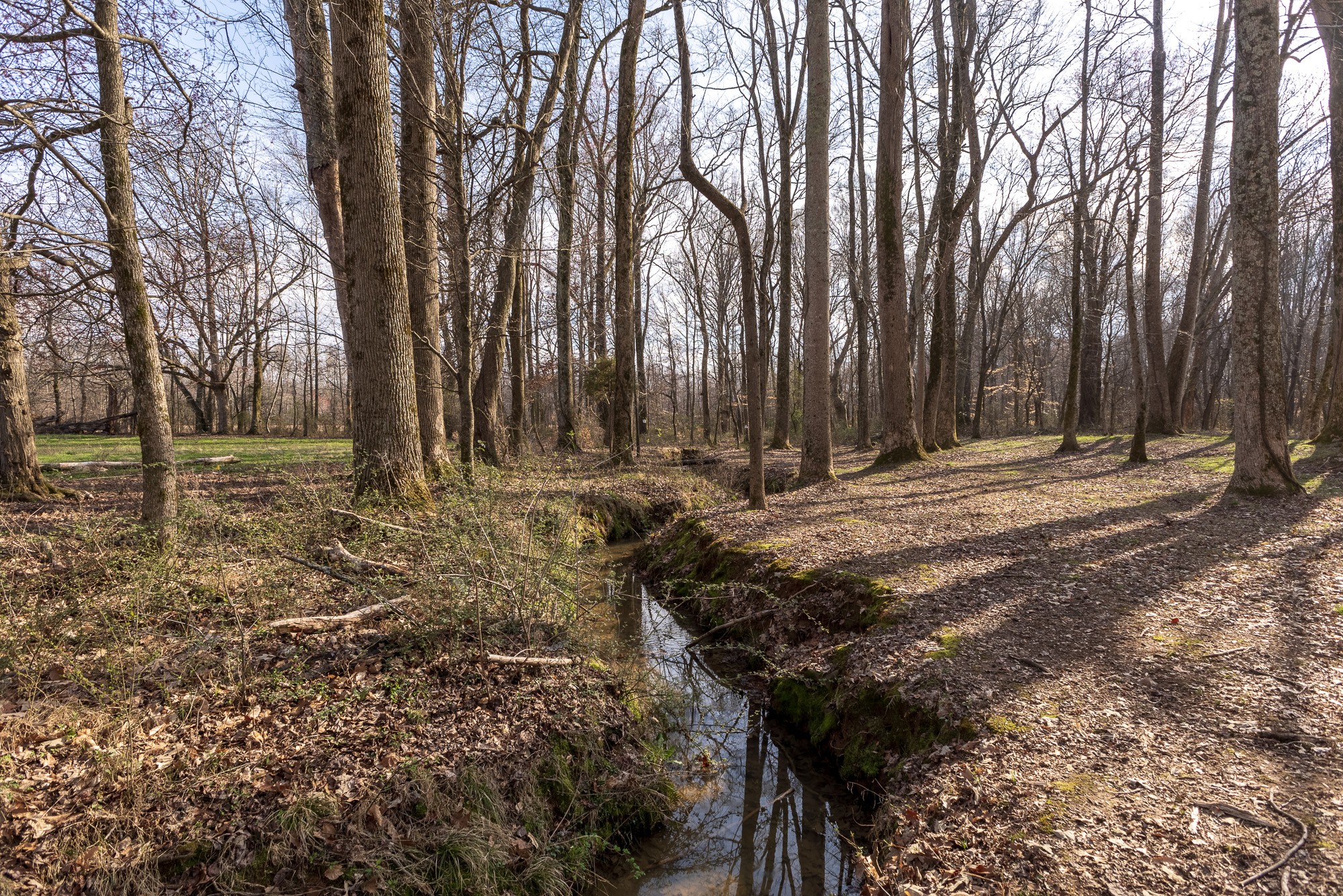 64 Elliot Road Ardmore, TN 38449 - Photo 23 of 64