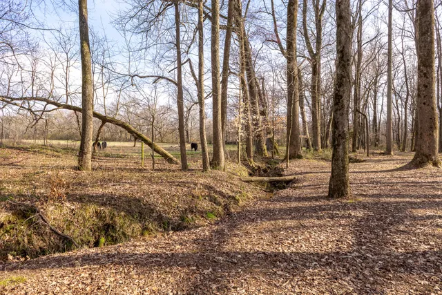 $599,900 | 64 Elliot Road, Ardmore, TN 38449