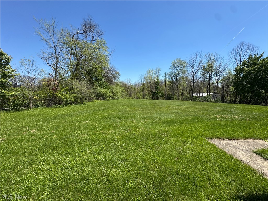 2705 Columbia Road Medina, OH 44256 - Photo 45 of 48 Backyard