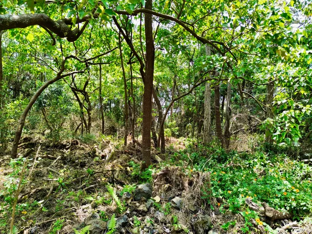 $225,000 | 89-768 Lot 28 Lani Kona Road, Captain Cook, HI 96704