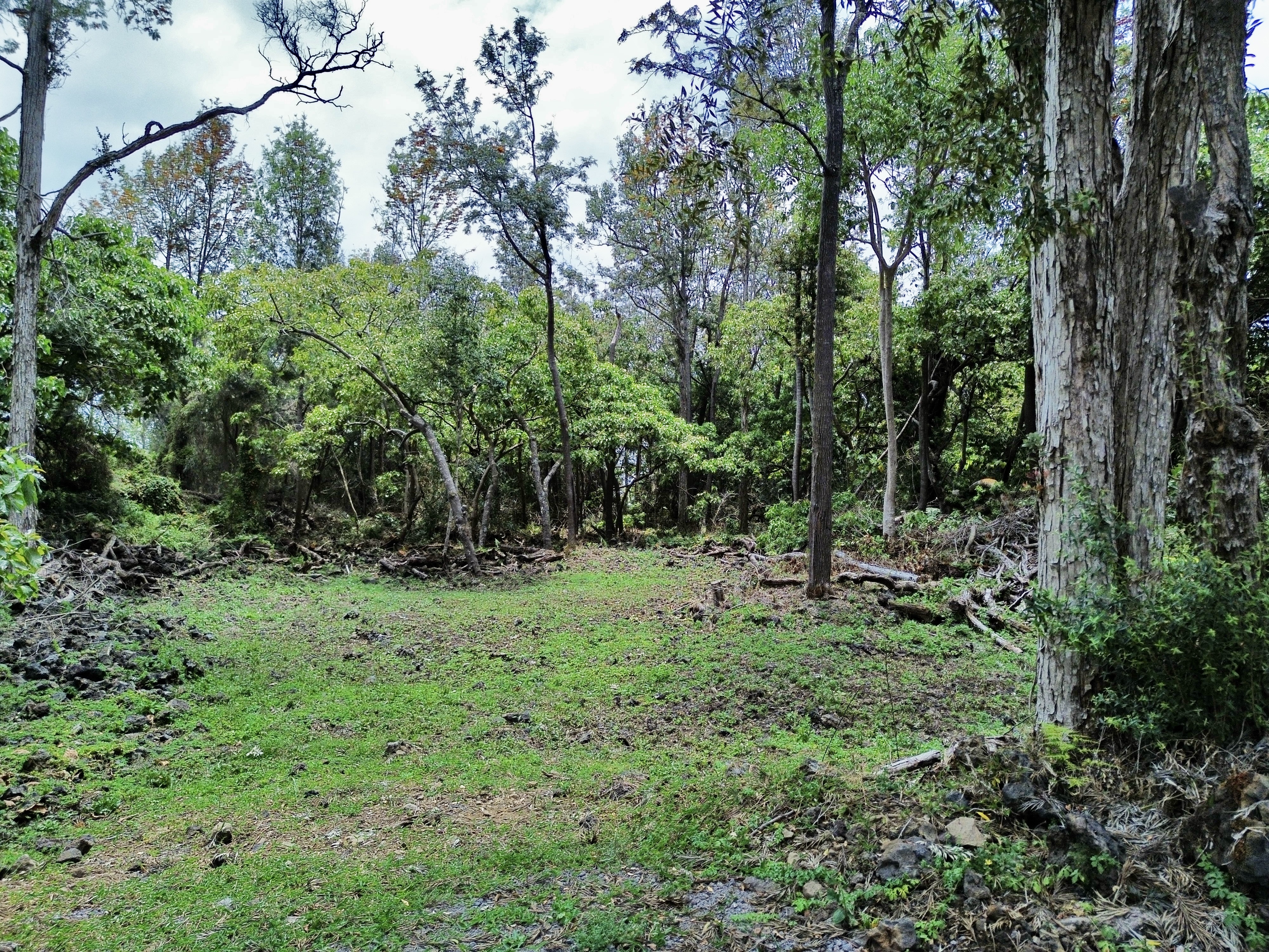 89-768 Lot 28 Lani Kona Road Captain Cook, HI 96704 - Photo 2 of 13