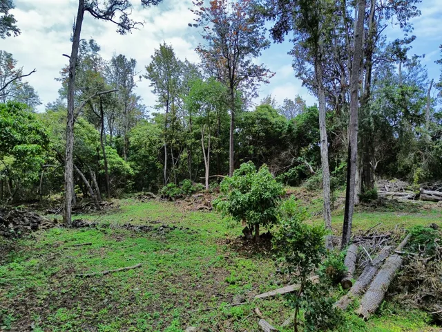 $225,000 | 89-768 Lot 28 Lani Kona Road, Captain Cook, HI 96704