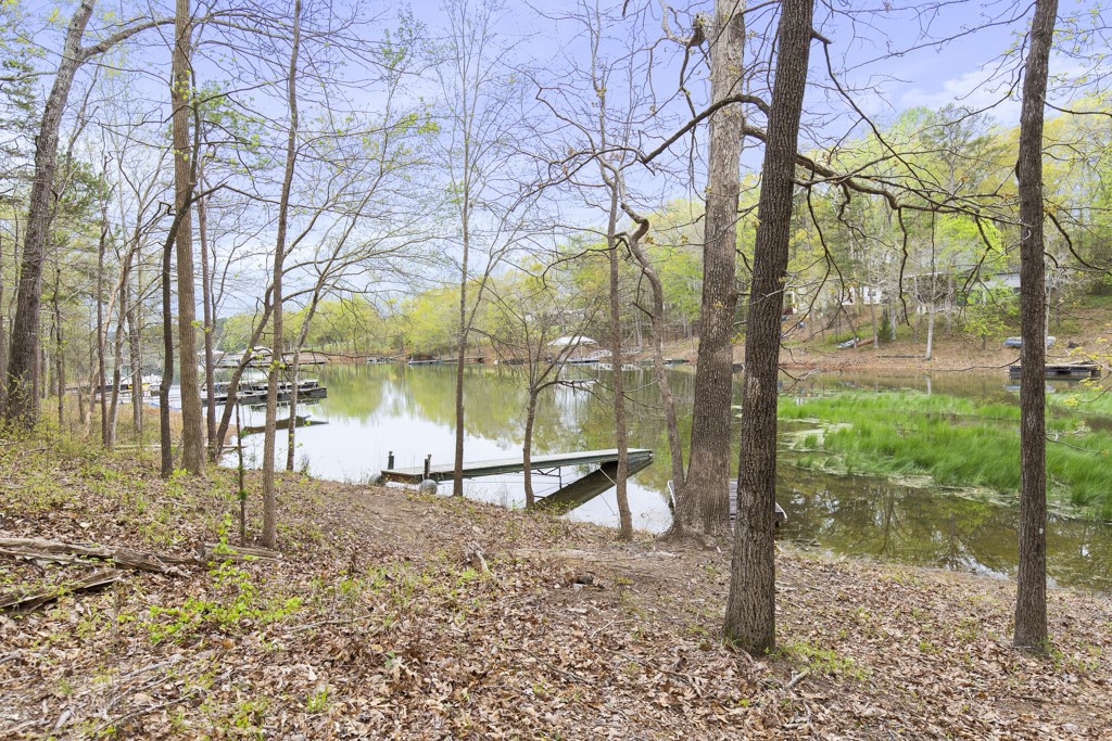 140 Dawn Cove Road Seneca, SC 29678 - Photo 28 of 38 Gallery Image 28