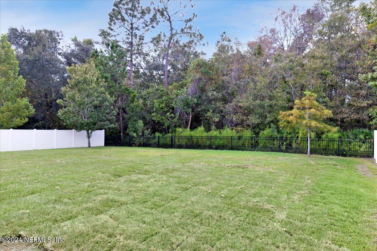 113 Footbridge Road St. Johns, FL 32259 - Photo 37 of 84 Backyard