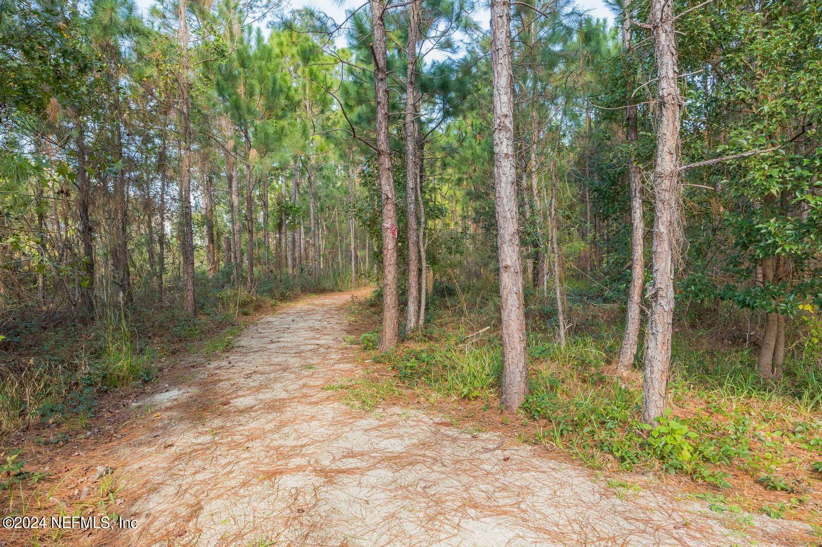113 Footbridge Road St. Johns, FL 32259 - Photo 63 of 84 Nature Trails
