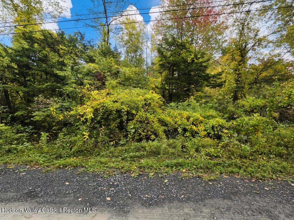 0 Spring Road Hudson, NY 12534 - Photo 5 of 6 2