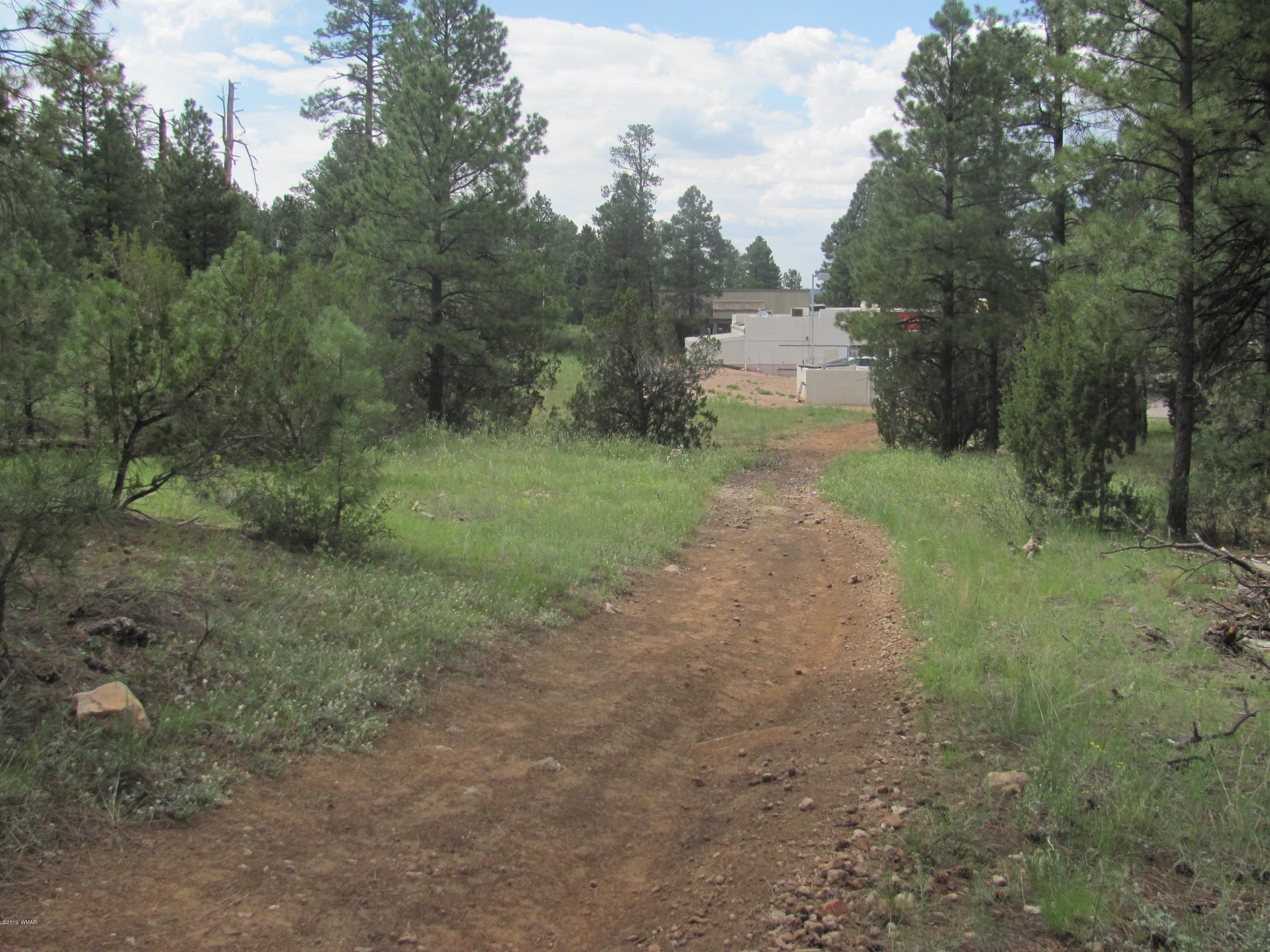 1957 Highway 260 Overgaard, AZ 85933 - Photo 2 of 4