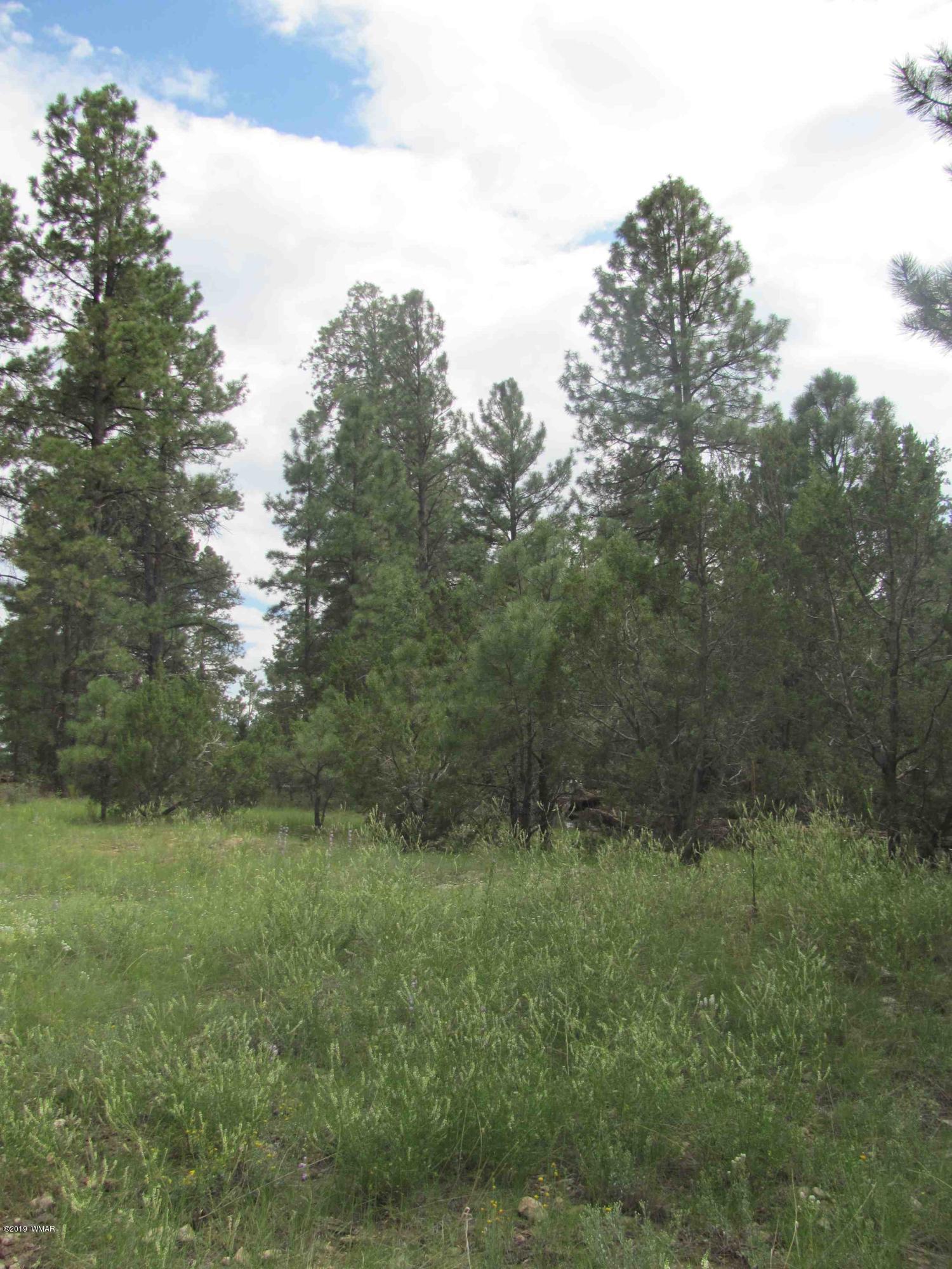 1957 Highway 260 Overgaard, AZ 85933 - Photo 4 of 4