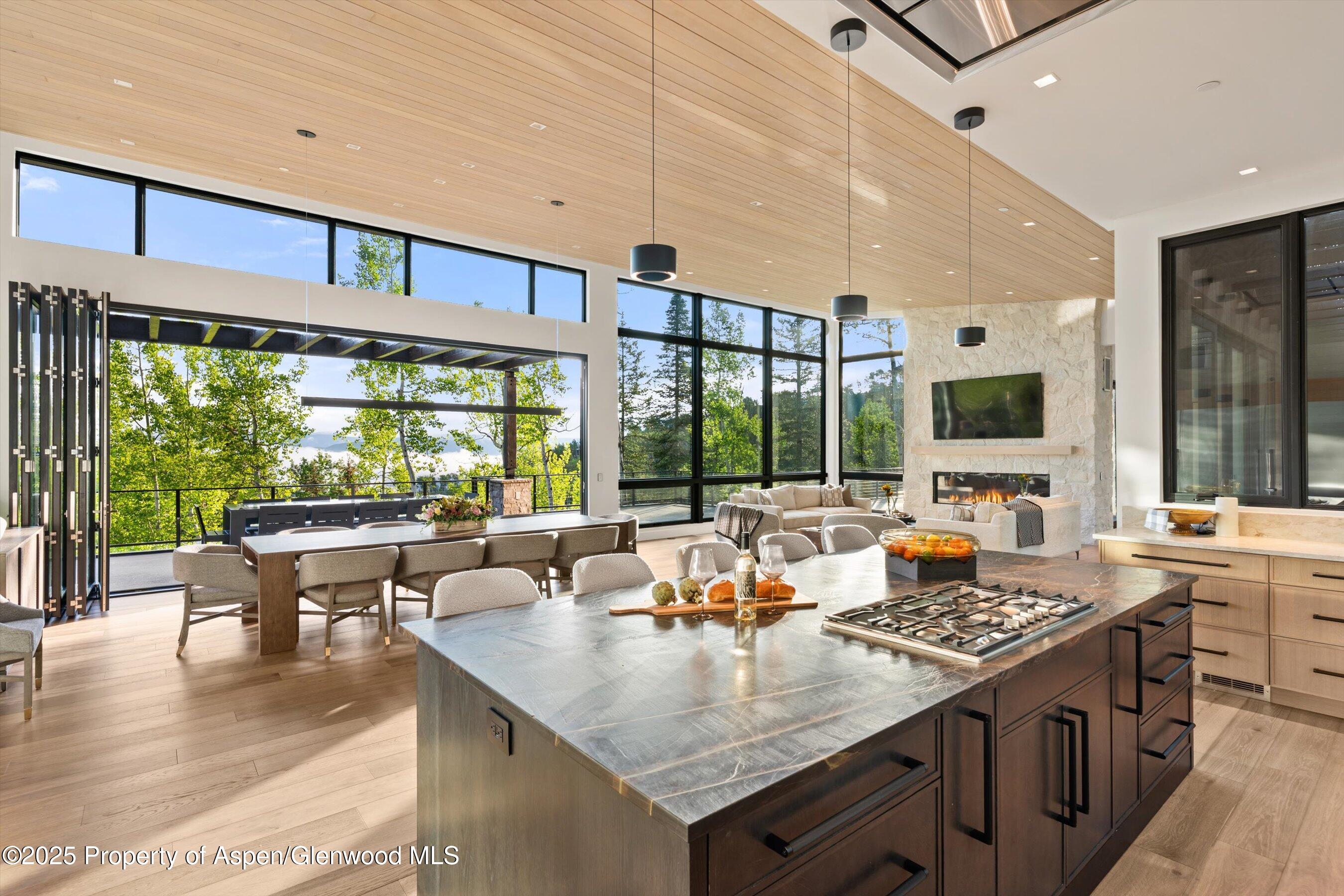 1234 Wood Road Snowmass Village, CO 81615 - Photo 11 of 67 065-1234WoodRd_250603142