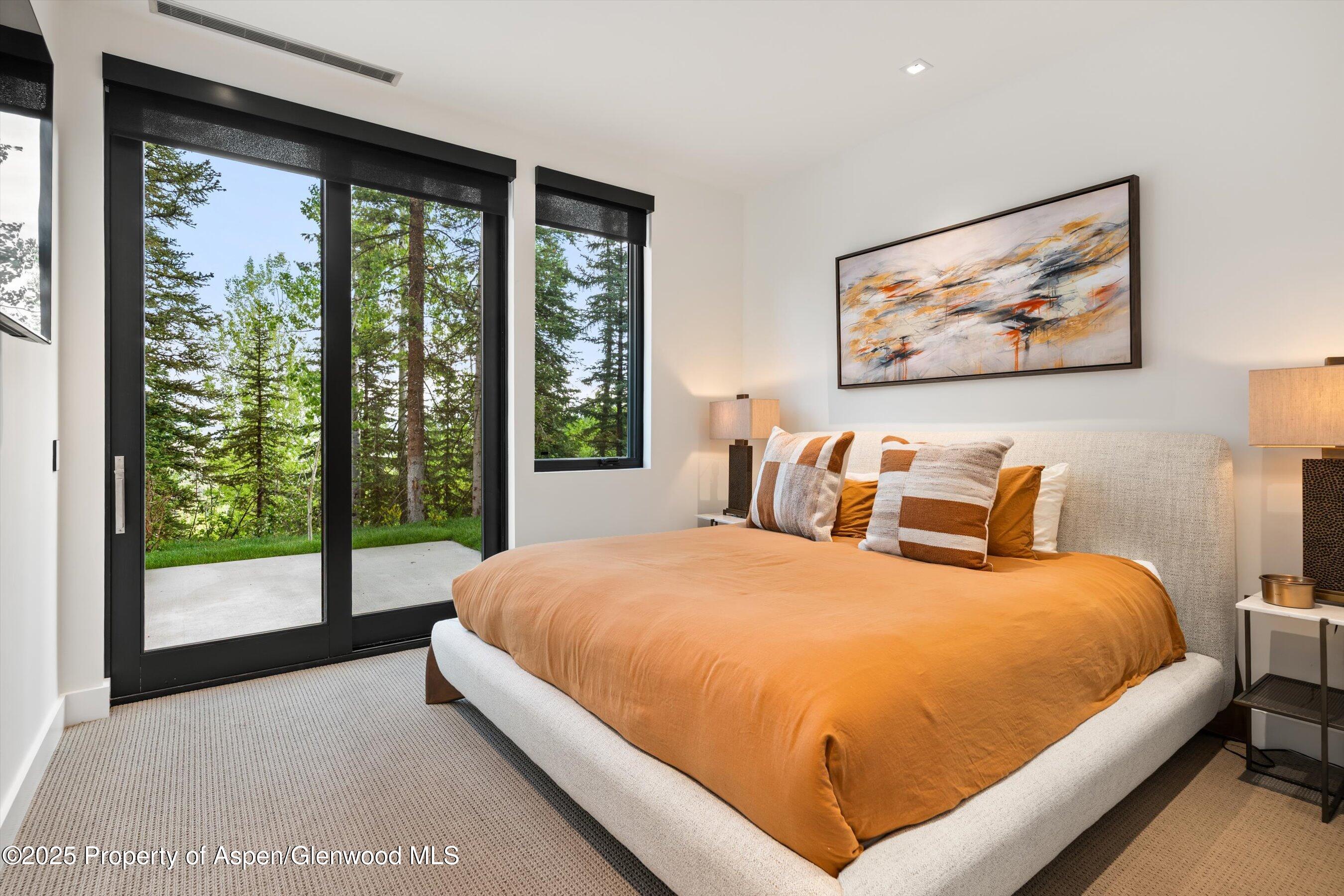 1234 Wood Road Snowmass Village, CO 81615 - Photo 45 of 67 111-1234WoodRd_250603188