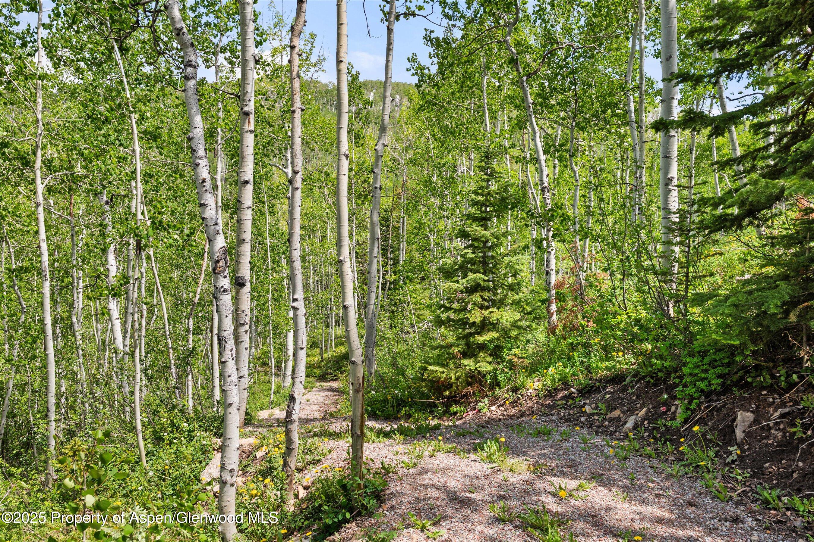 1234 Wood Road Snowmass Village, CO 81615 - Photo 67 of 67 121-1234WoodRd_250603198