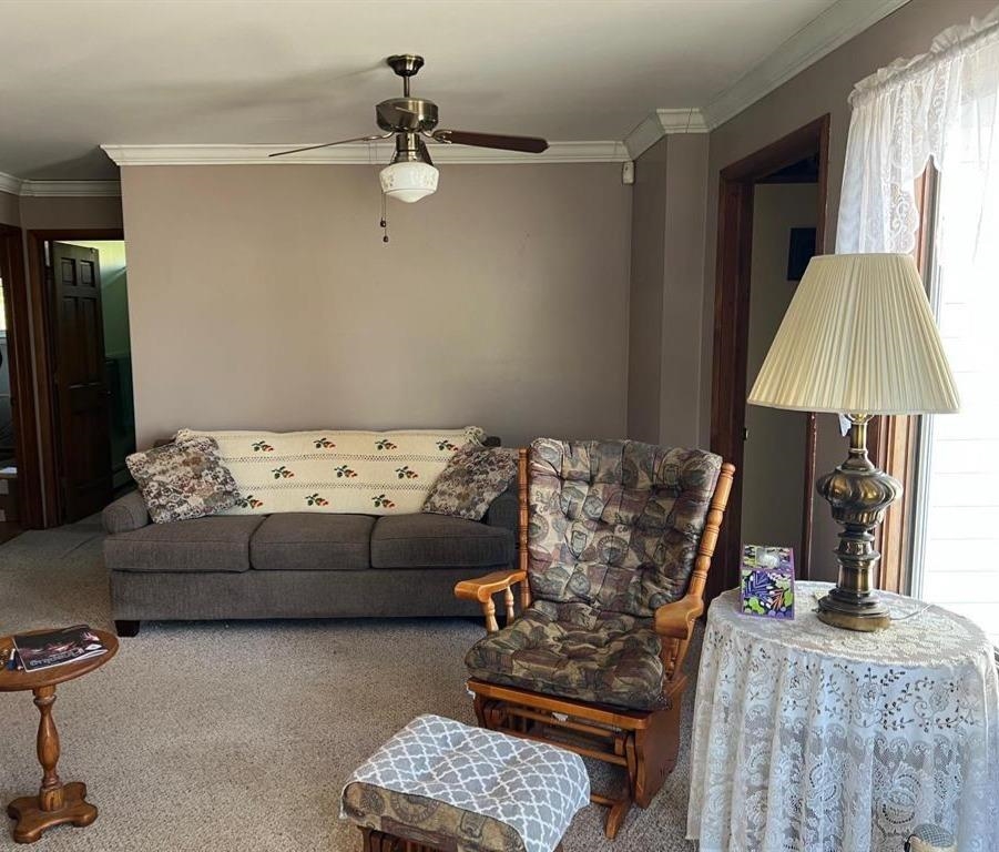 21403 Swan Creek Road Merrill, MI 48637 - Photo 40 of 68
