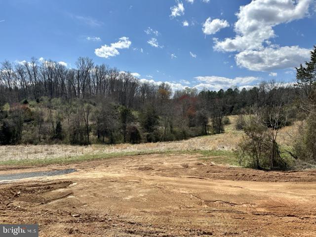 Lot 3 Scotts Mill Road Culpeper, VA 22701 - Photo 1 of 8