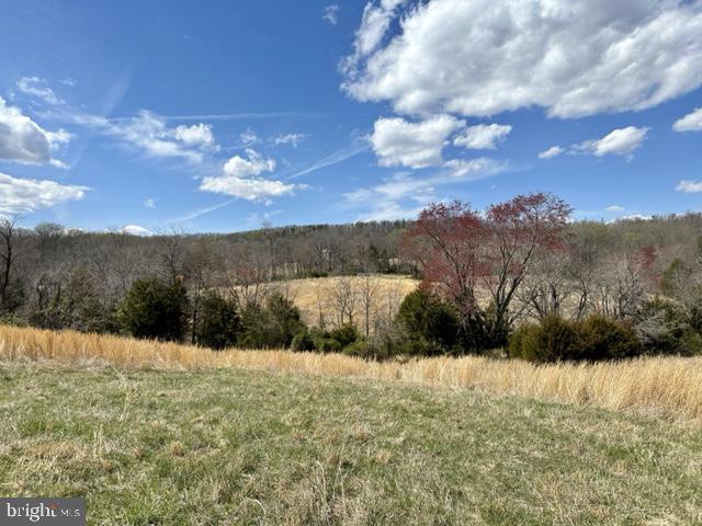 Lot 3 Scotts Mill Road Culpeper, VA 22701 - Photo 5 of 8