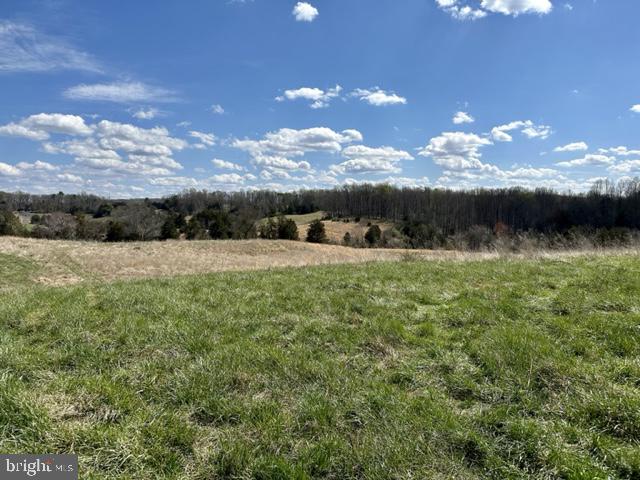 Lot 3 Scotts Mill Road Culpeper, VA 22701 - Photo 6 of 8