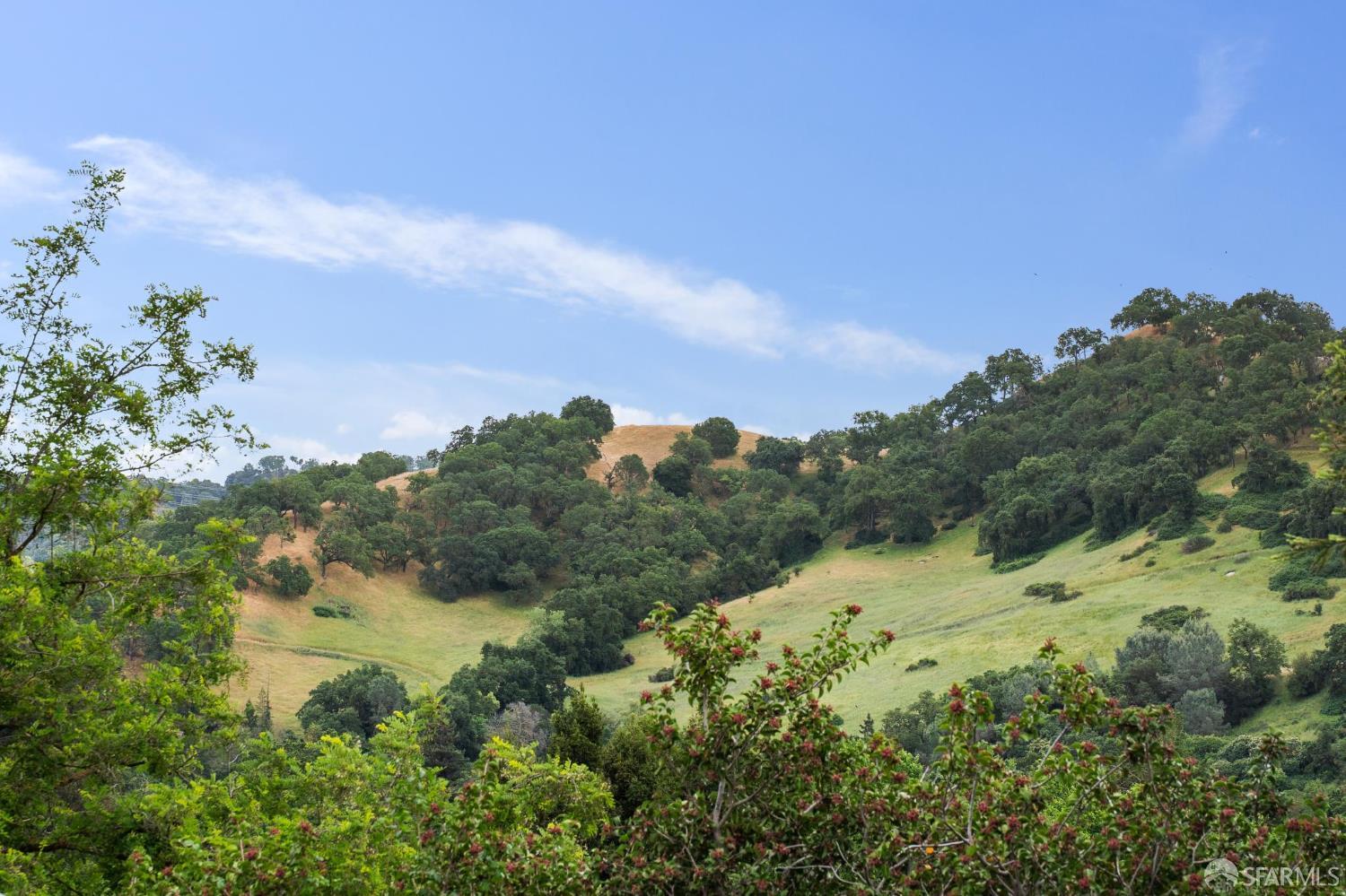 375 Montecillo Drive Walnut Creek, CA 94595 - Photo 44 of 79 a view of a lake with a mountain in the background