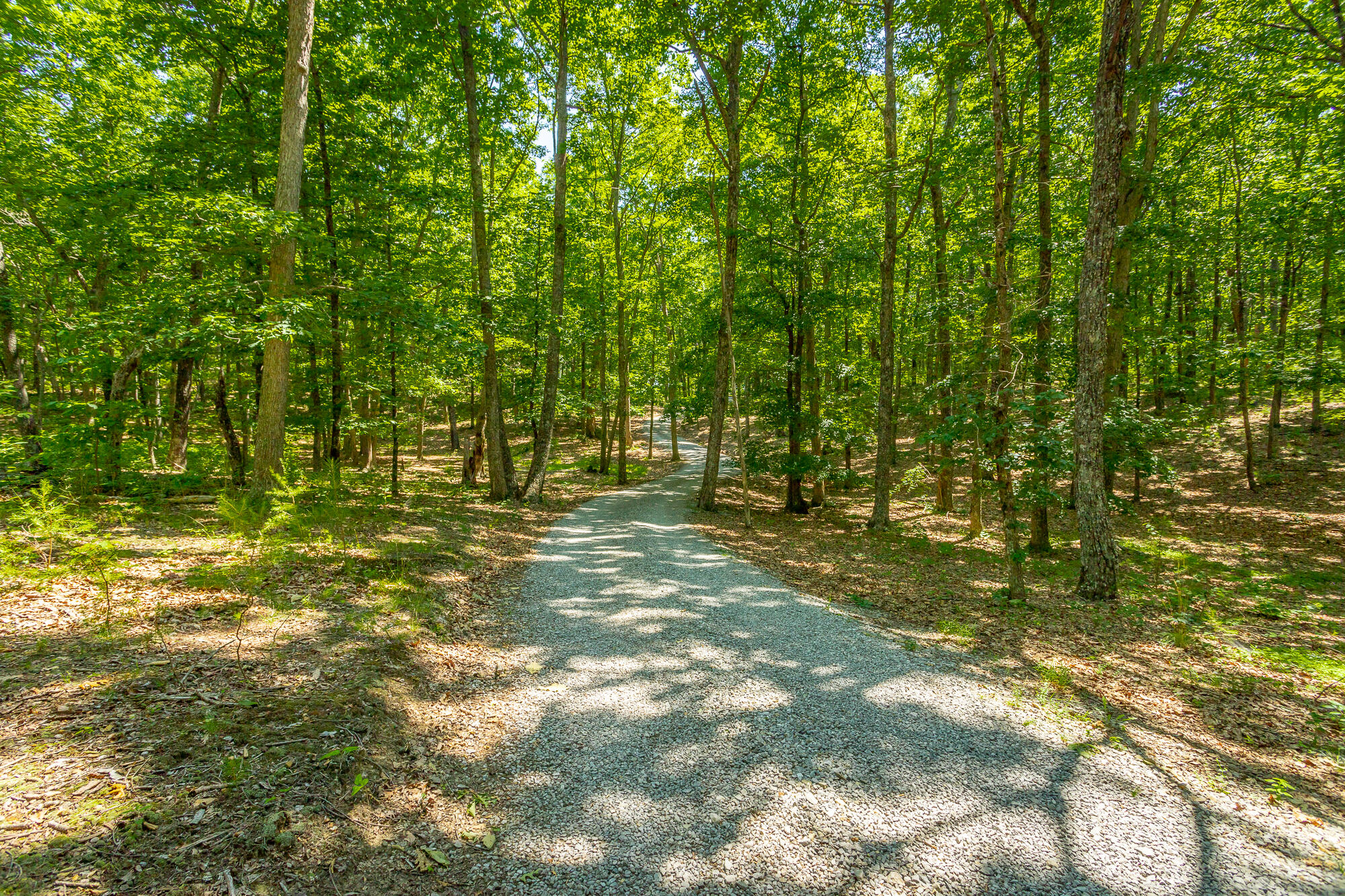 601 Grandview Road Signal Mountain, TN 37377 - Photo 9 of 57 601 Grandview Rd Lot 9 HD-11