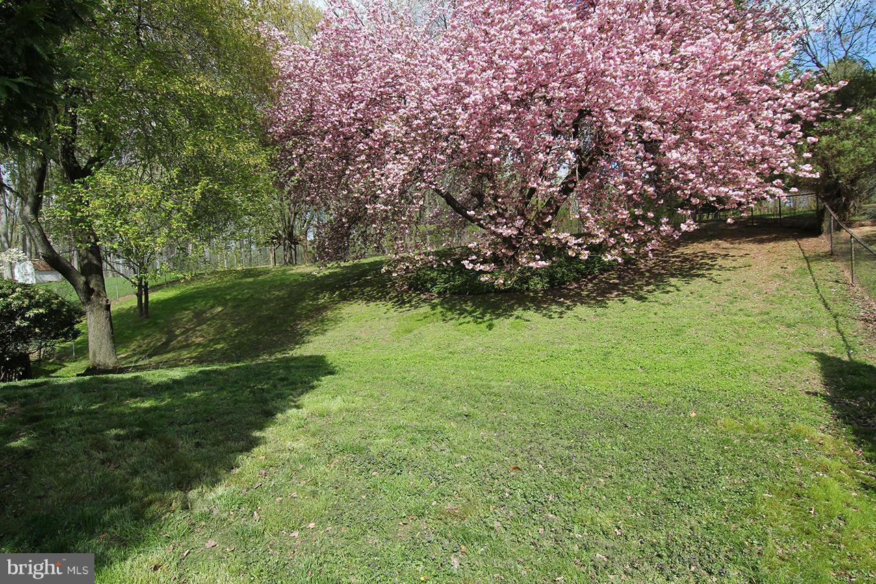 14305 Piccadilly Road Silver Spring, MD 20906 - Photo 29 of 30 a view of a garden