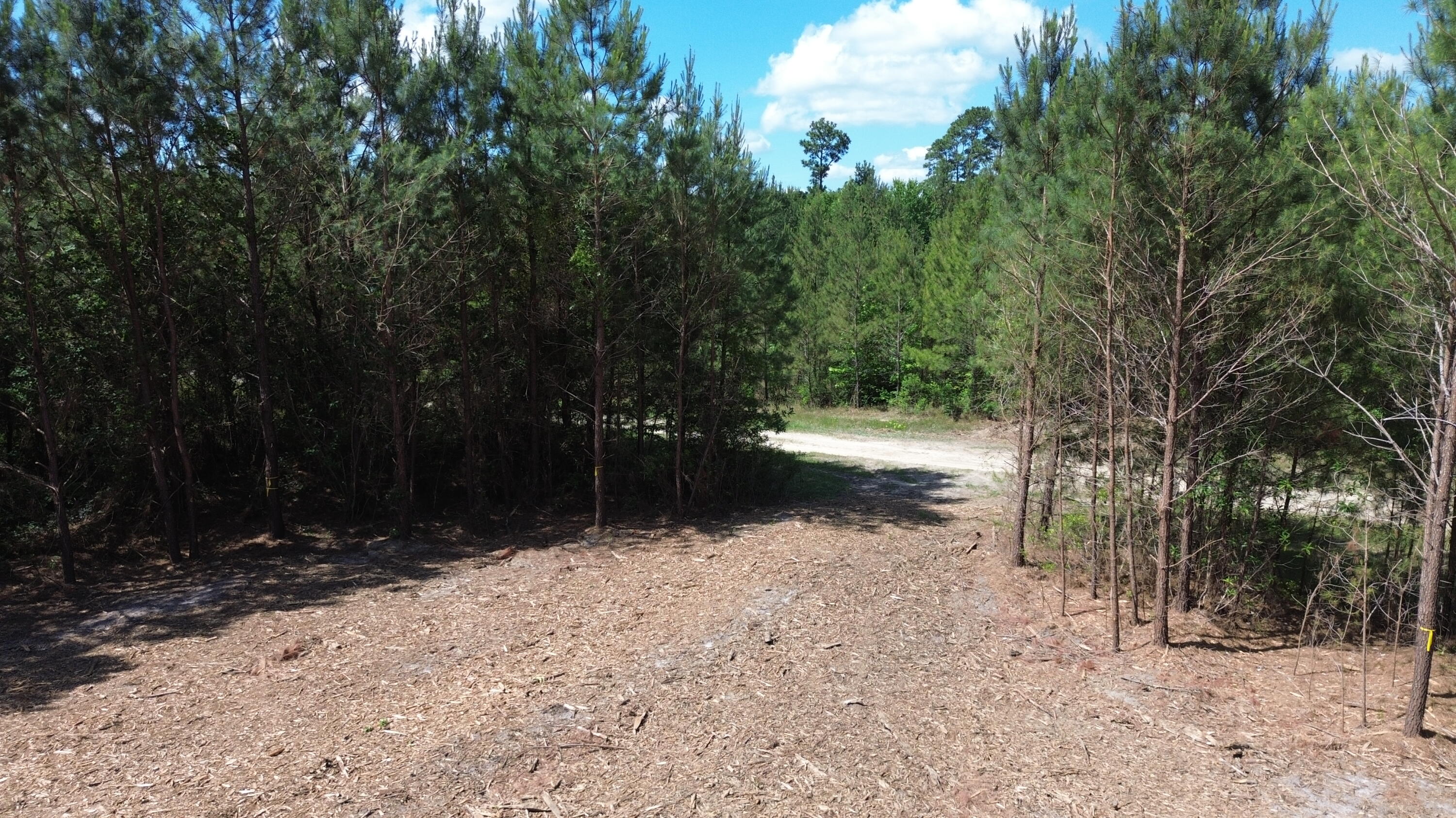 5 Highway 311 Cross, SC 29436 - Photo 9 of 11 DJI_0429