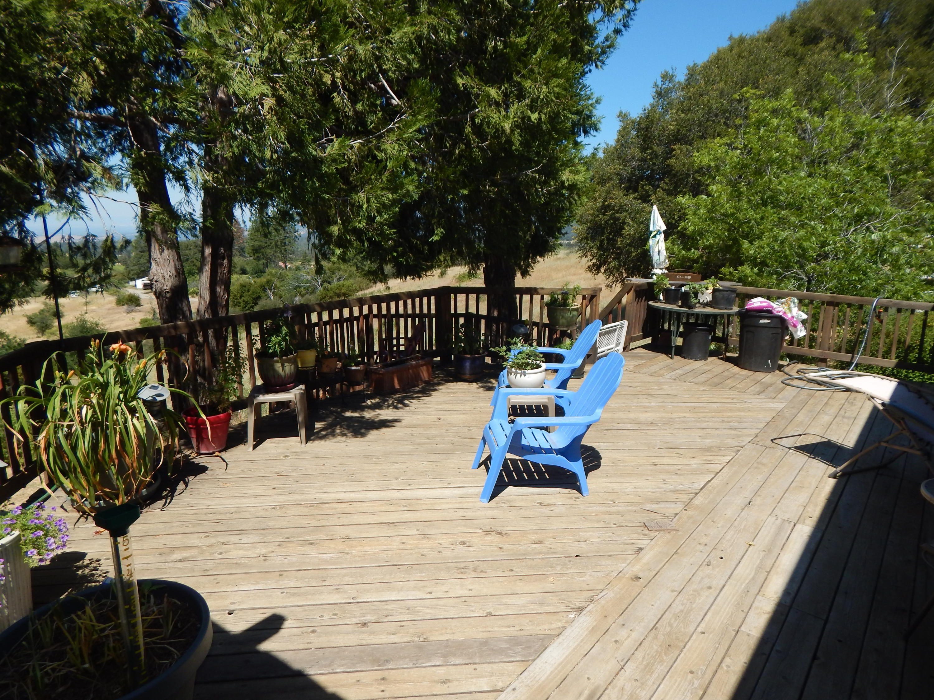 31820 Forward Road Manton, CA 96059 - Photo 50 of 95 DSCN6671