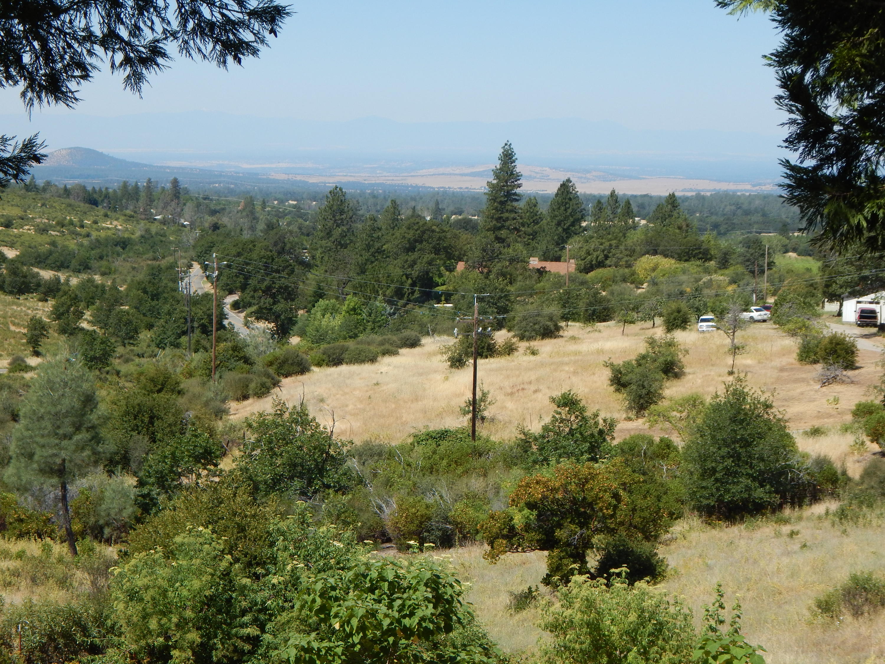 31820 Forward Road Manton, CA 96059 - Photo 52 of 95 DSCN6673