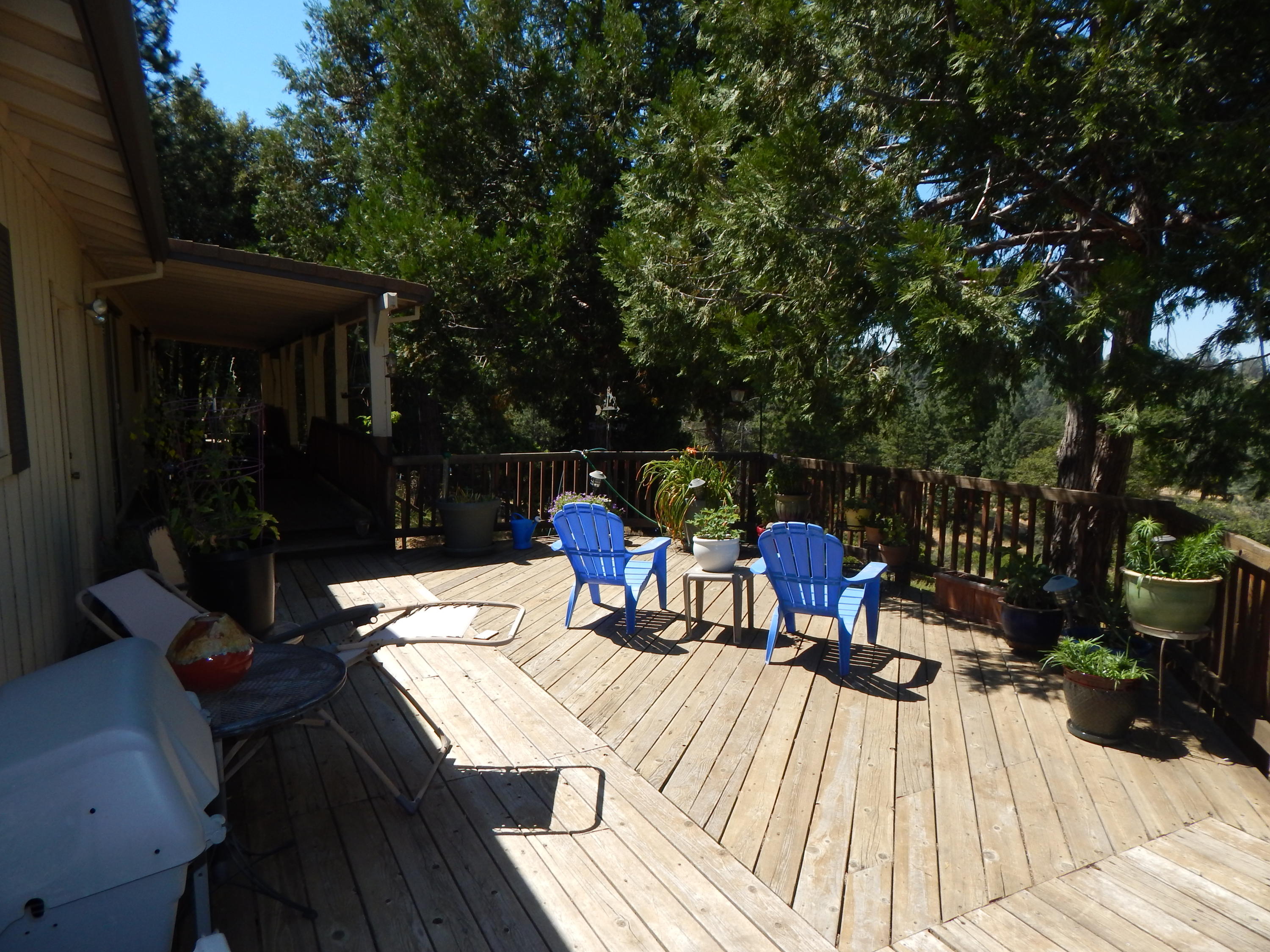 31820 Forward Road Manton, CA 96059 - Photo 53 of 95 DSCN6674
