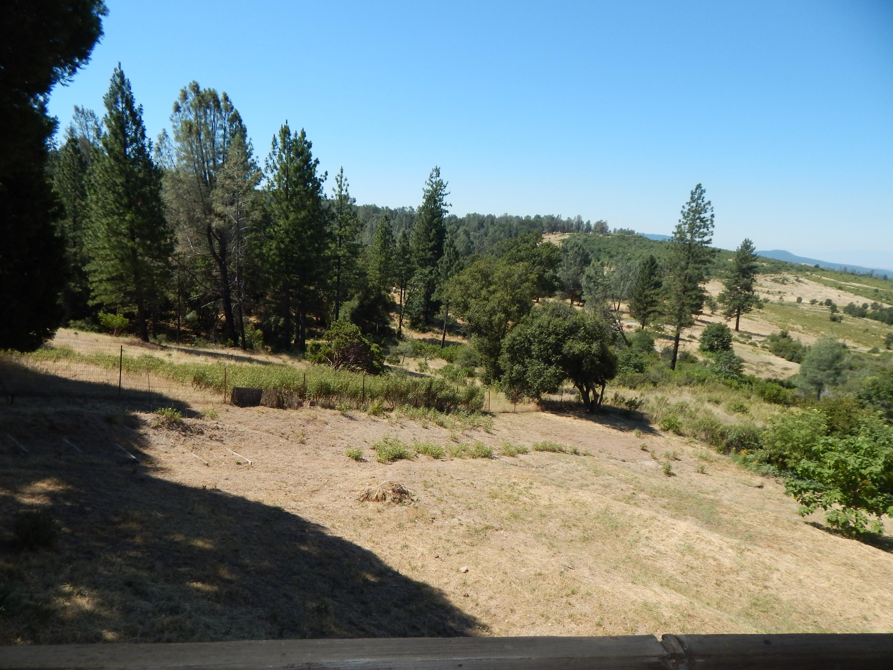 31820 Forward Road Manton, CA 96059 - Photo 63 of 95 DSCN6684