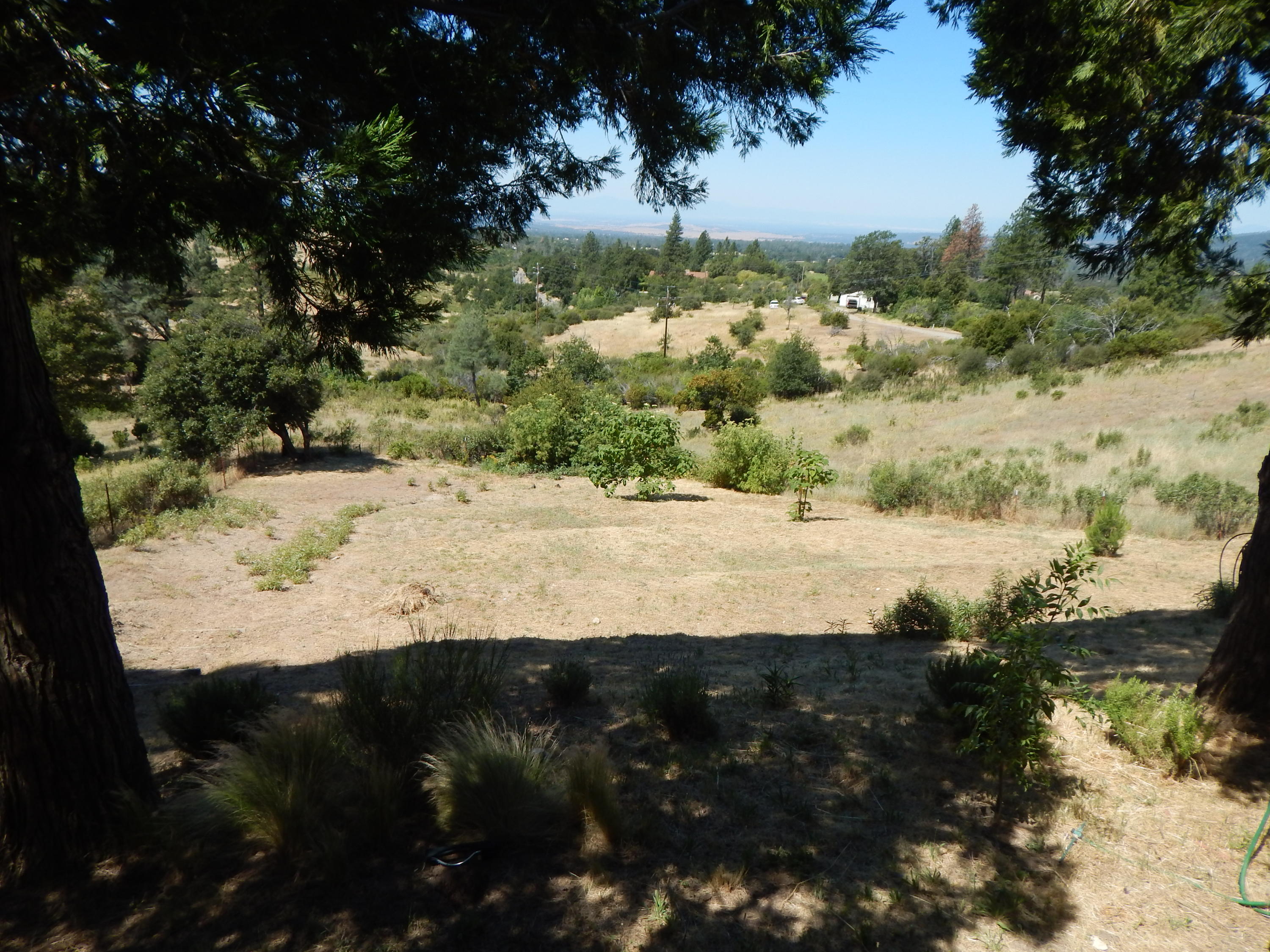 31820 Forward Road Manton, CA 96059 - Photo 64 of 95 DSCN6685
