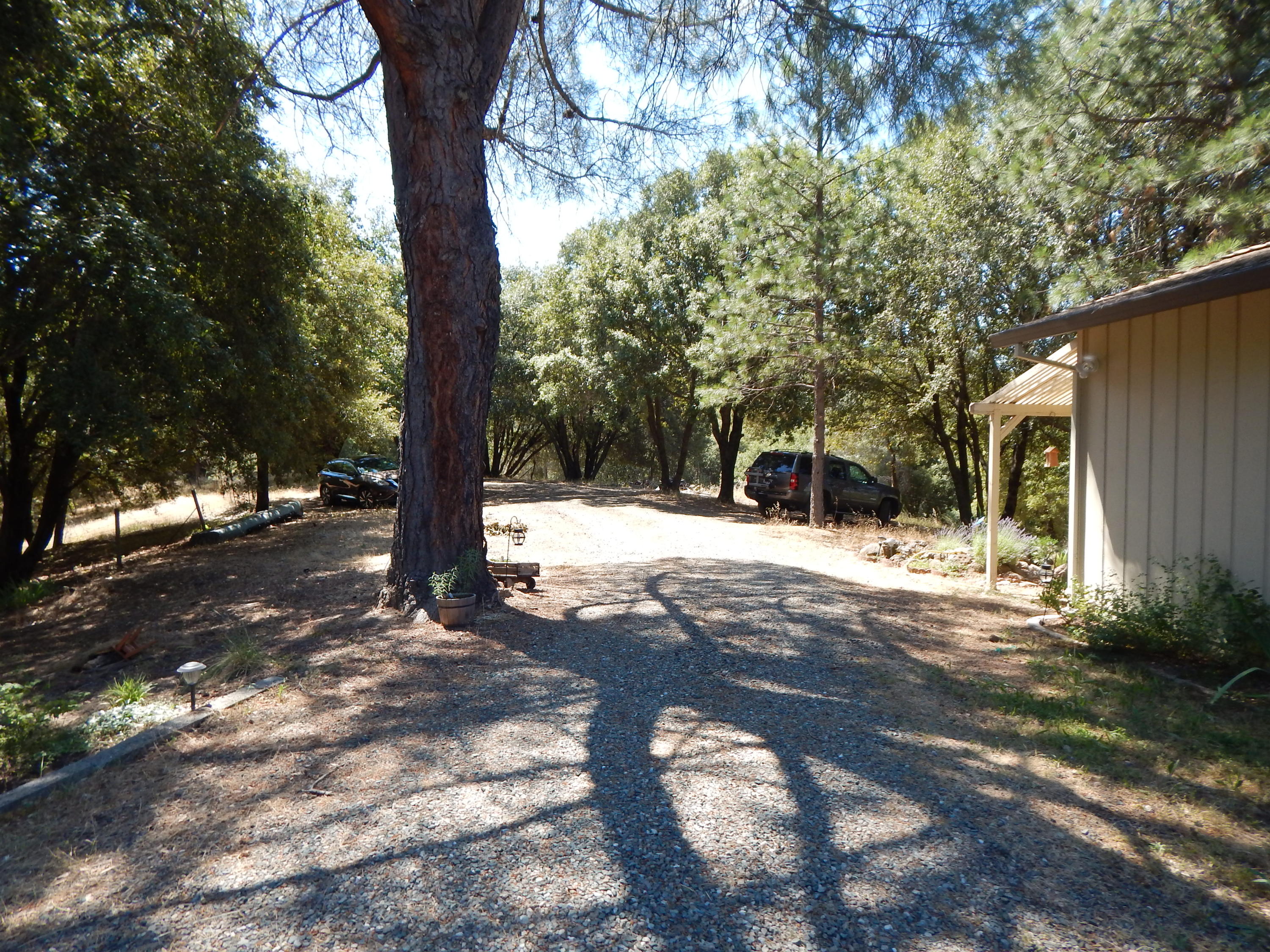 31820 Forward Road Manton, CA 96059 - Photo 66 of 95 DSCN6687