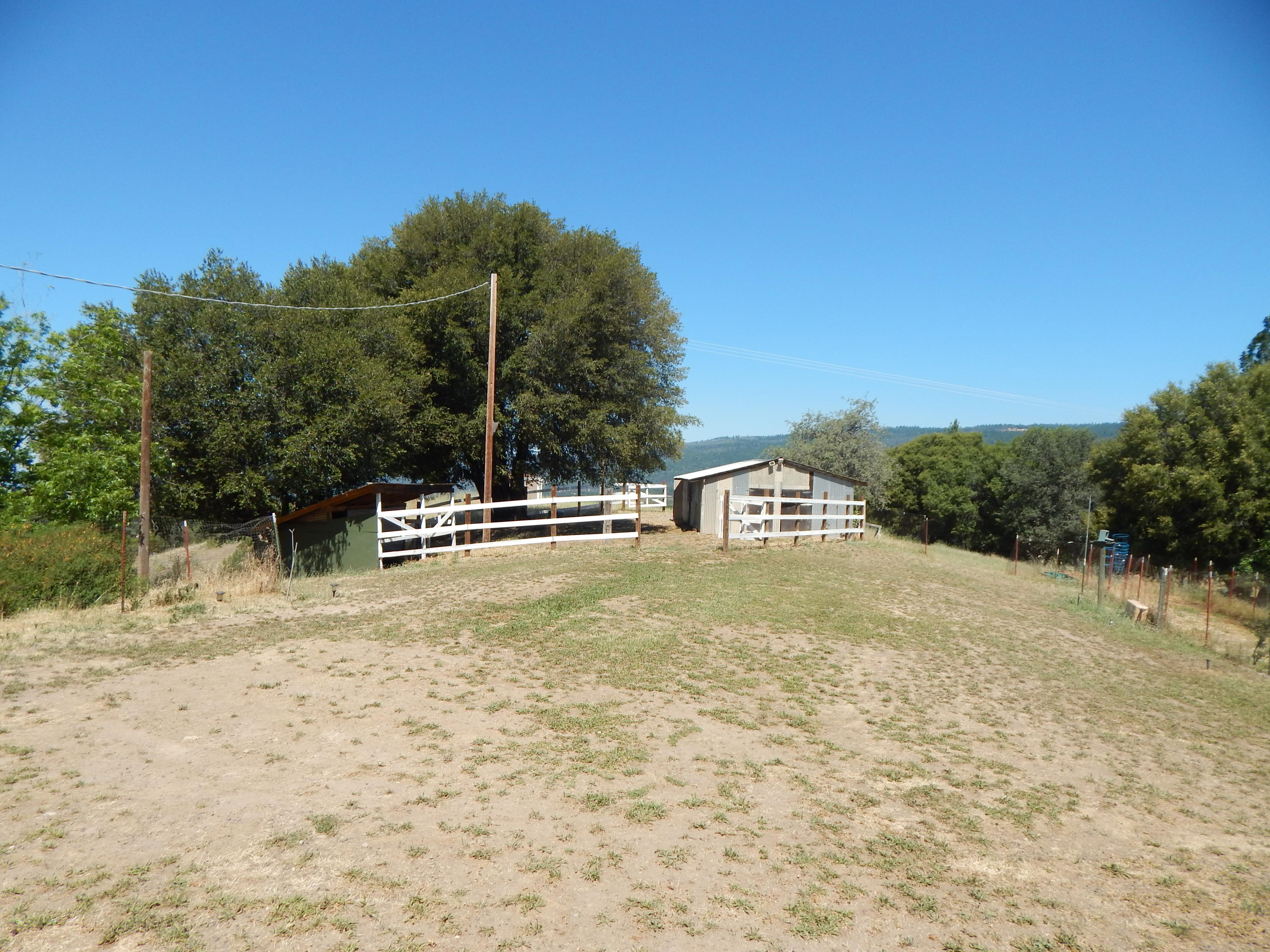 31820 Forward Road Manton, CA 96059 - Photo 74 of 95 DSCN6695