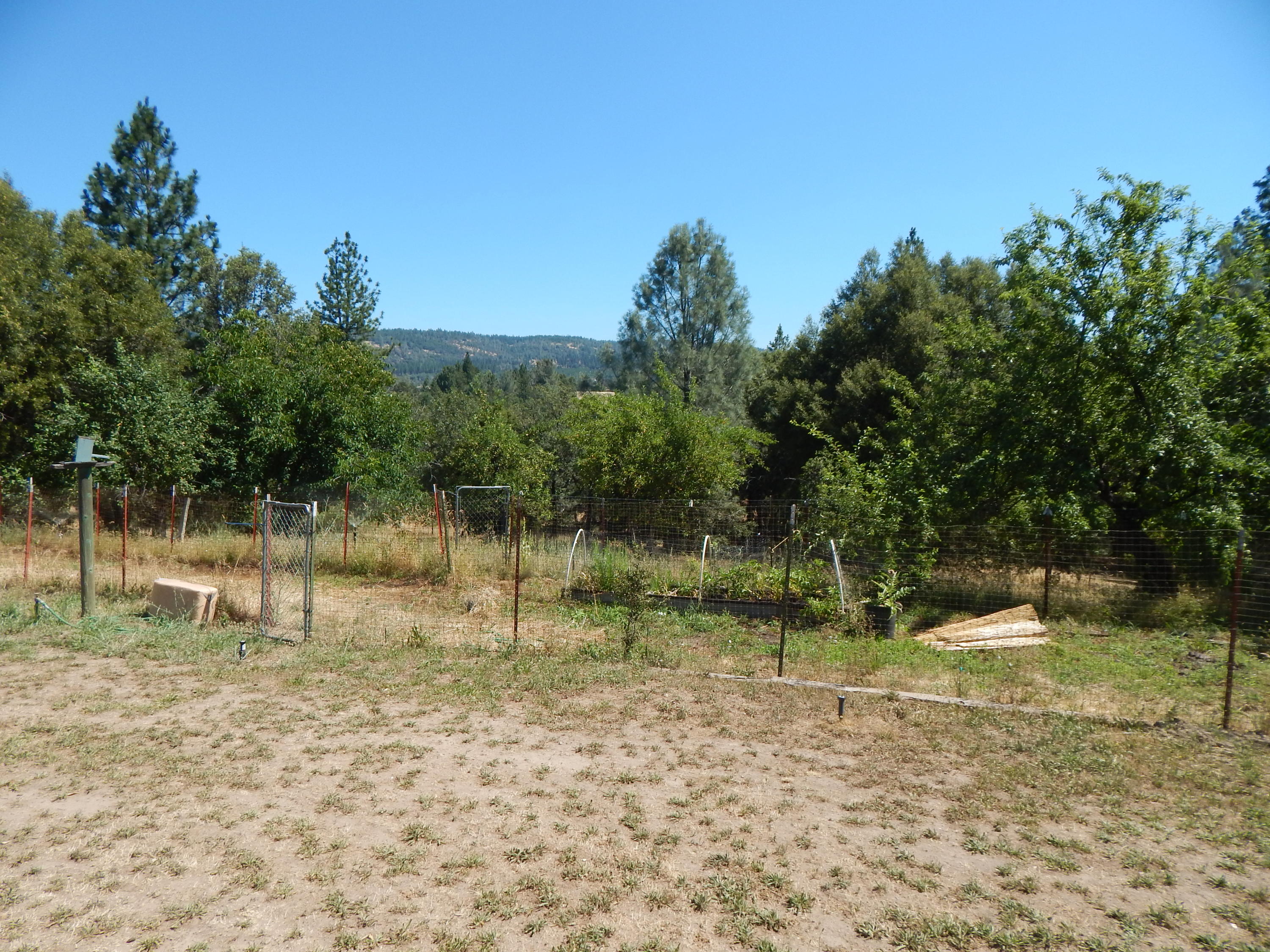 31820 Forward Road Manton, CA 96059 - Photo 75 of 95 DSCN6696