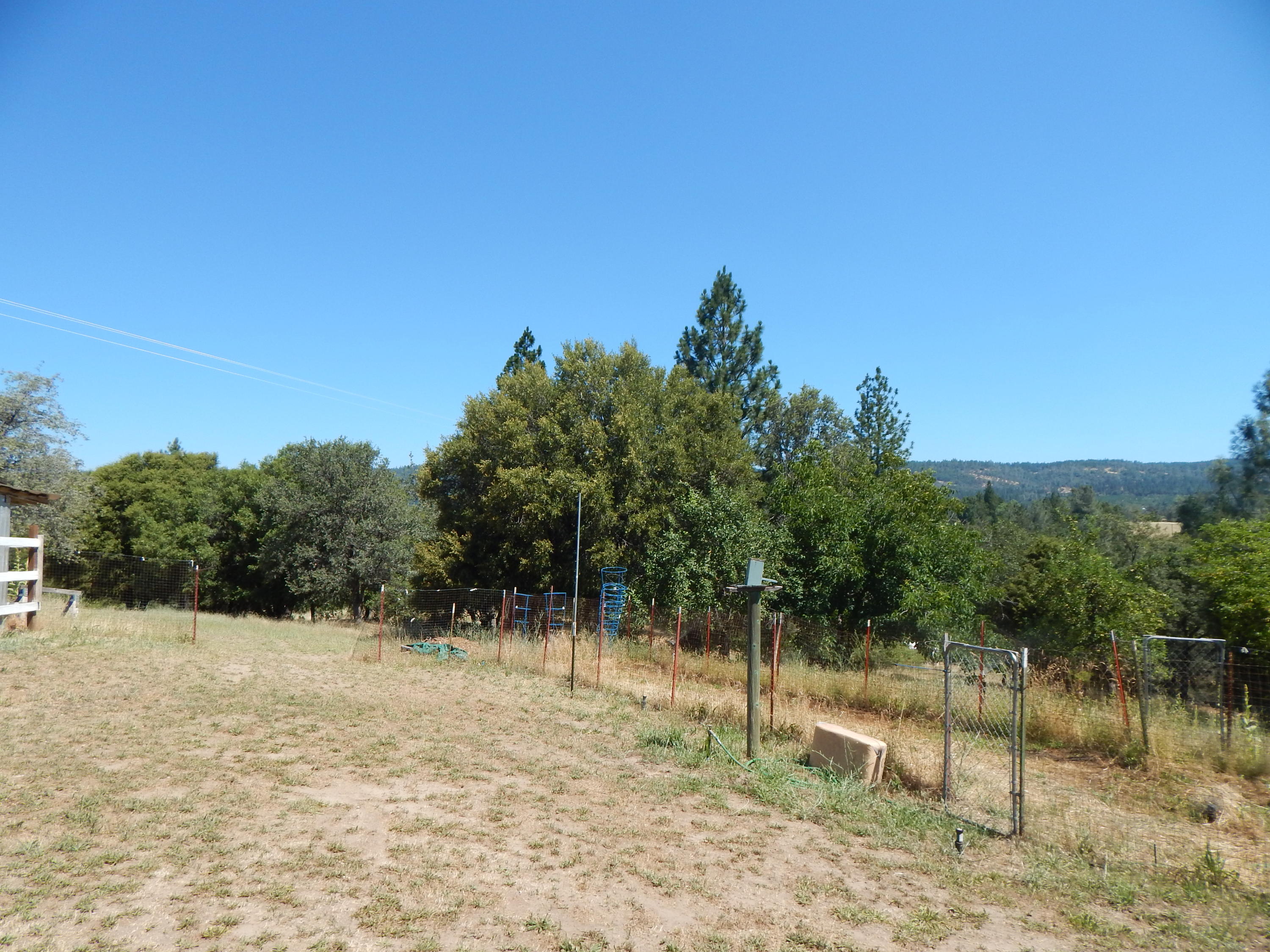 31820 Forward Road Manton, CA 96059 - Photo 76 of 95 DSCN6697