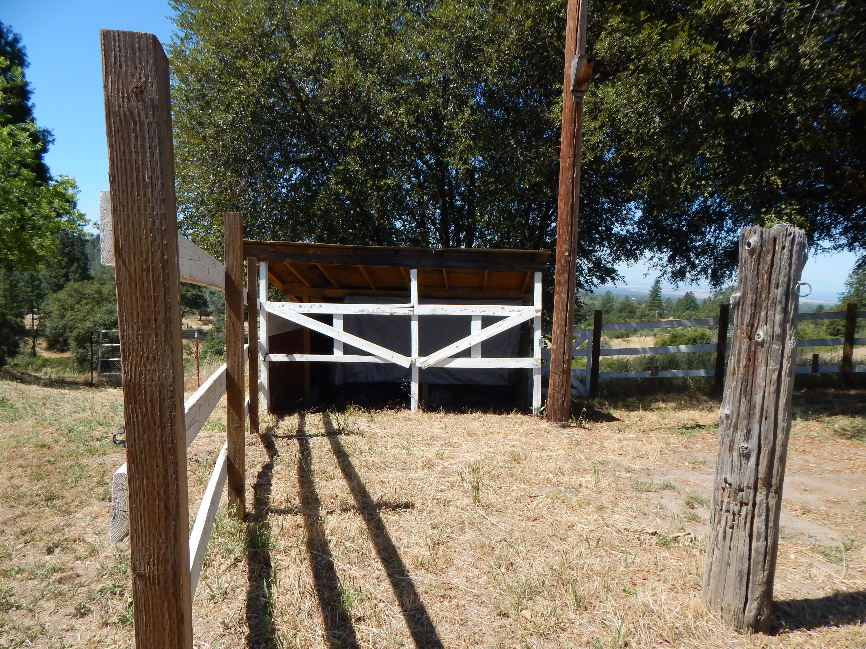 31820 Forward Road Manton, CA 96059 - Photo 77 of 95 DSCN6698