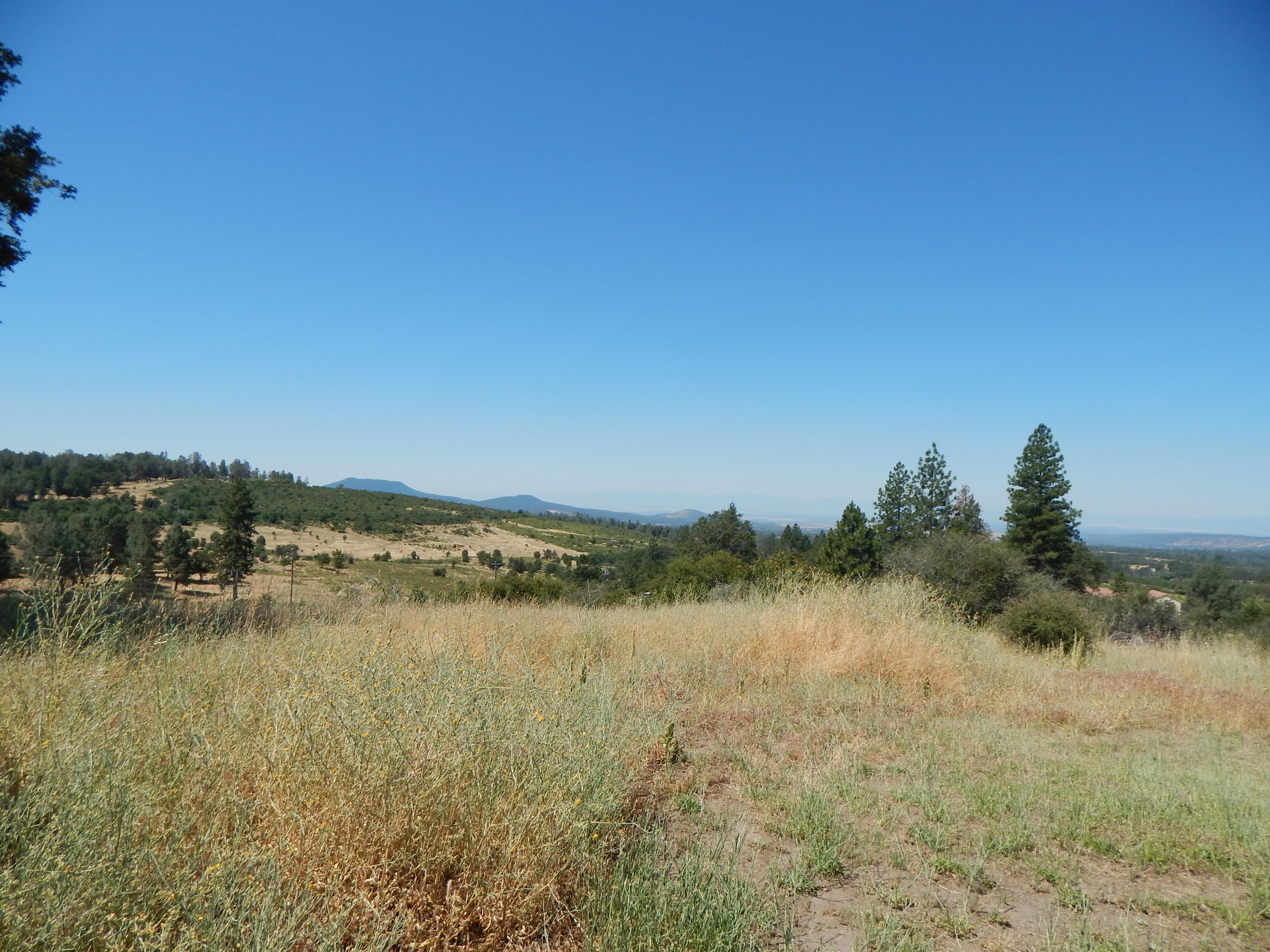 31820 Forward Road Manton, CA 96059 - Photo 84 of 95 DSCN6705